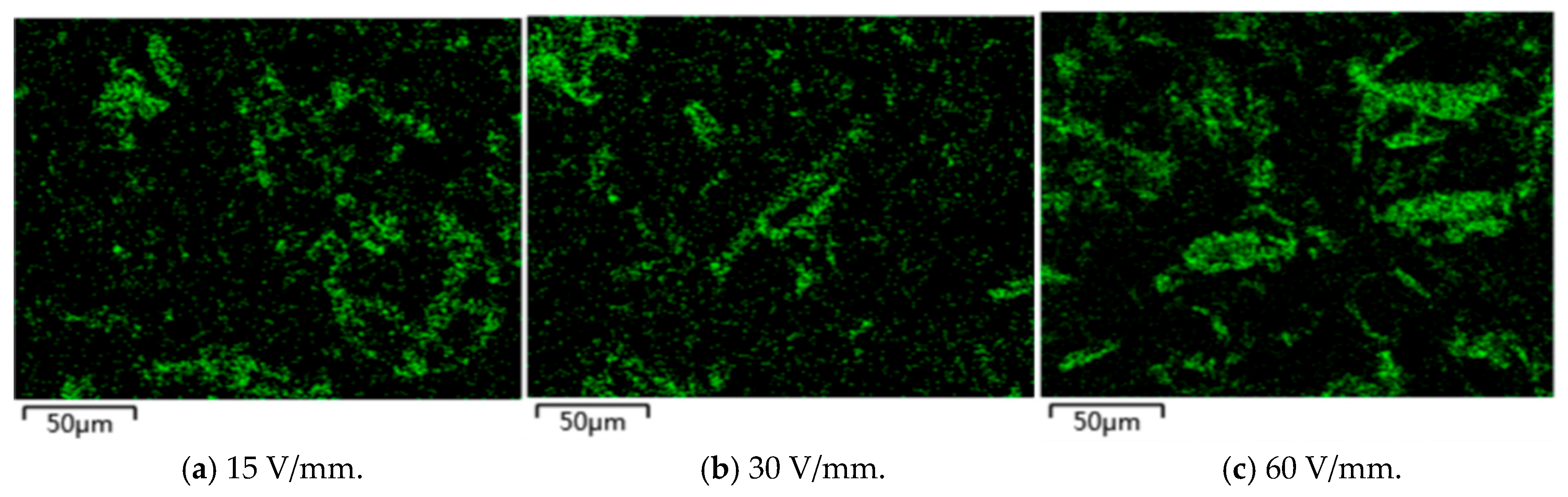Polymers 17 01429 g006
