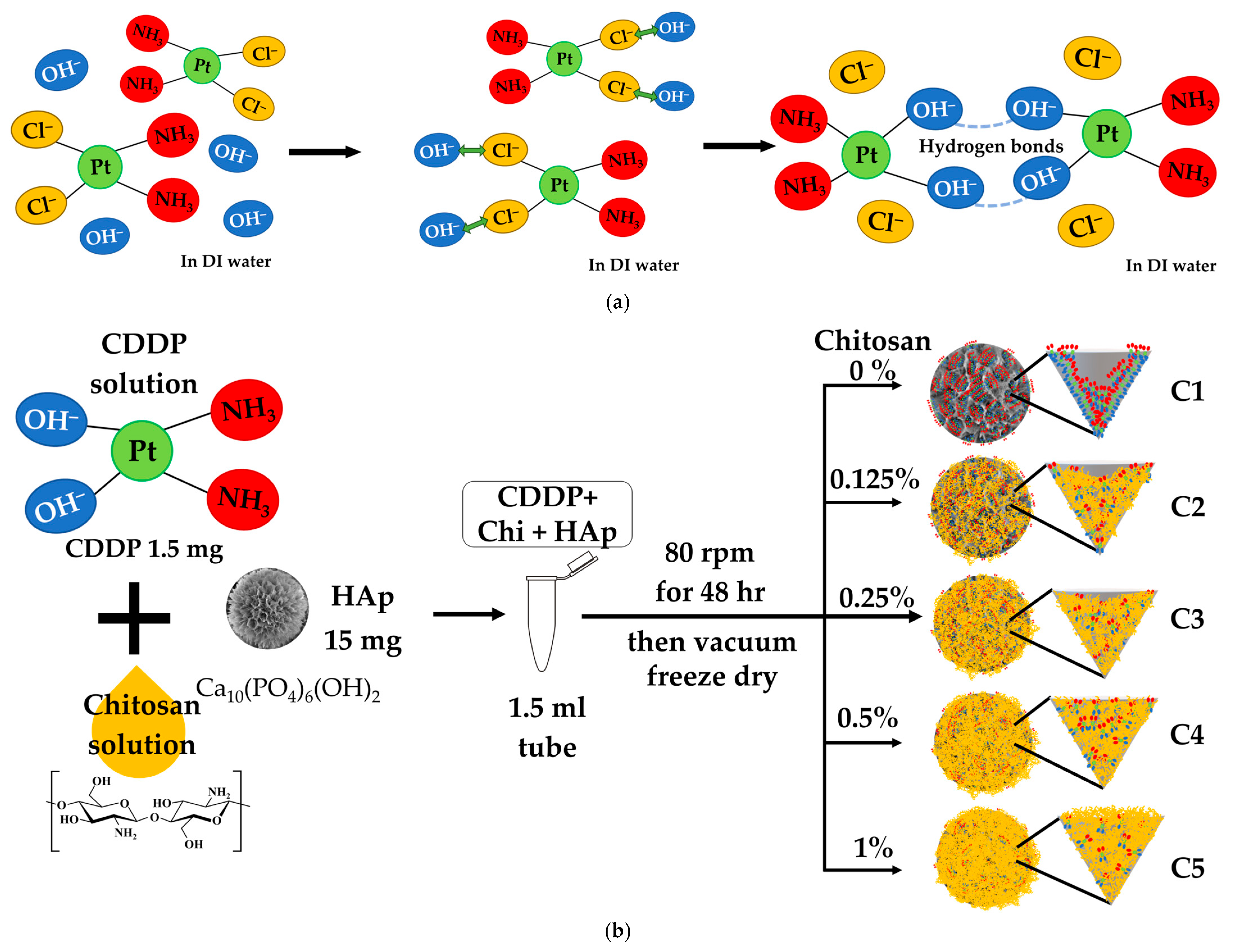 Effects of Chitosan on Drug Load and Release for Cisplatin ...