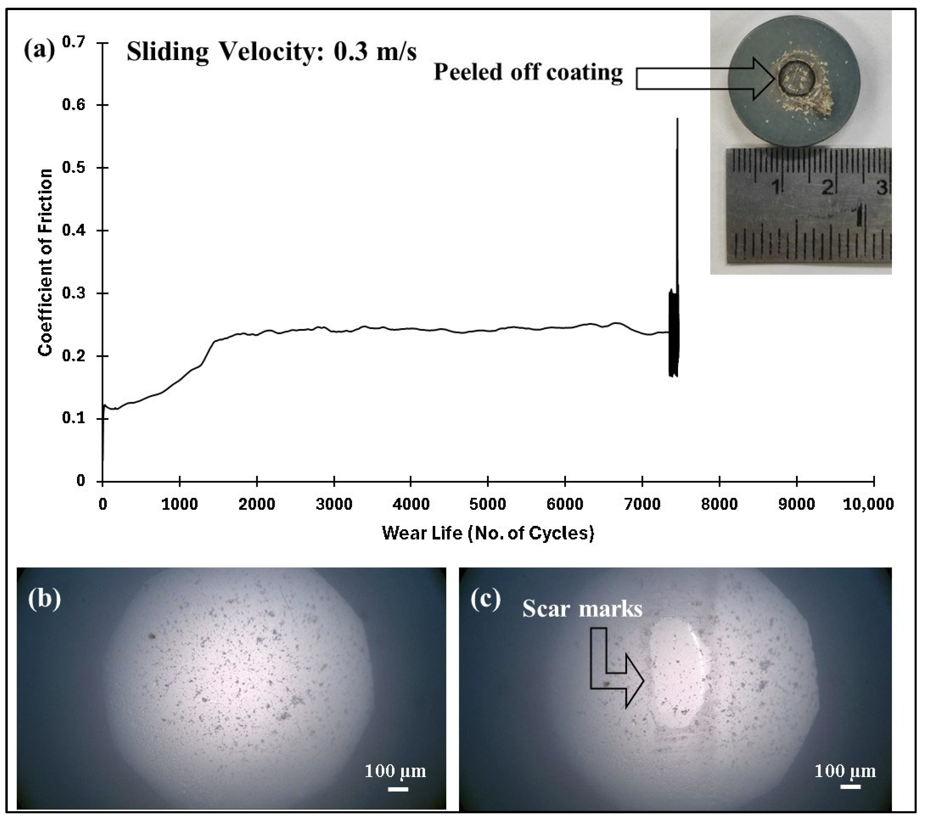 Polymers 17 01487 g009