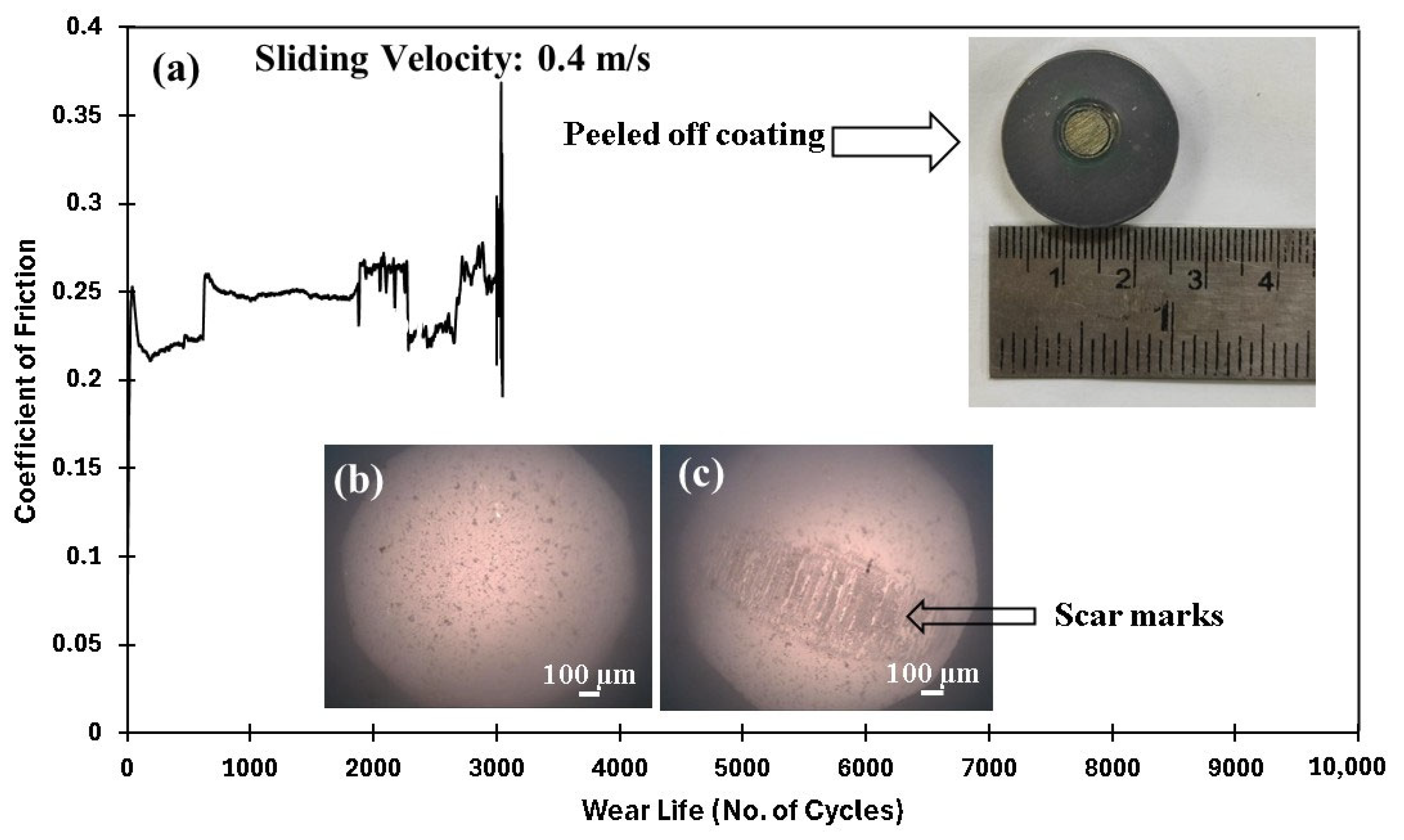 Polymers 17 01487 g012