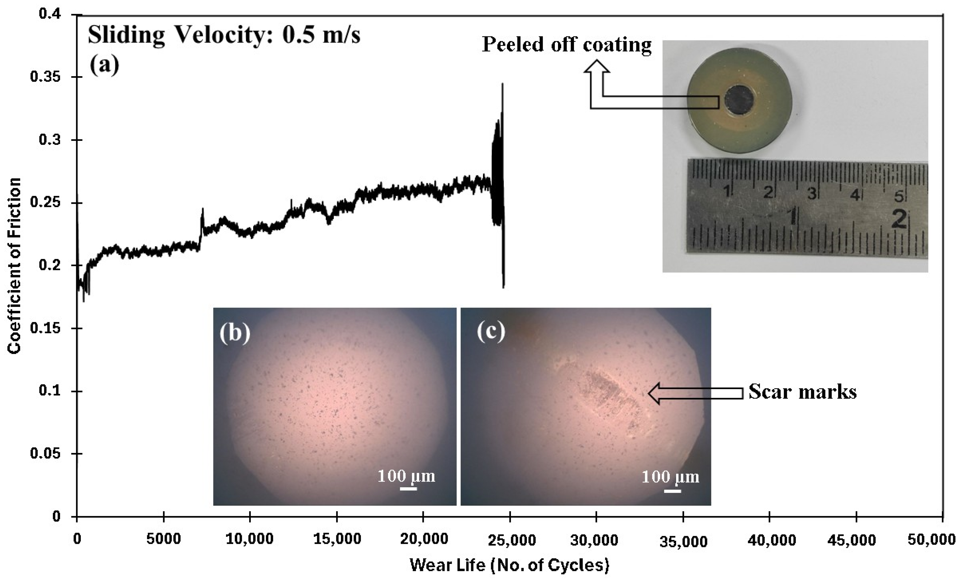 Polymers 17 01487 g017