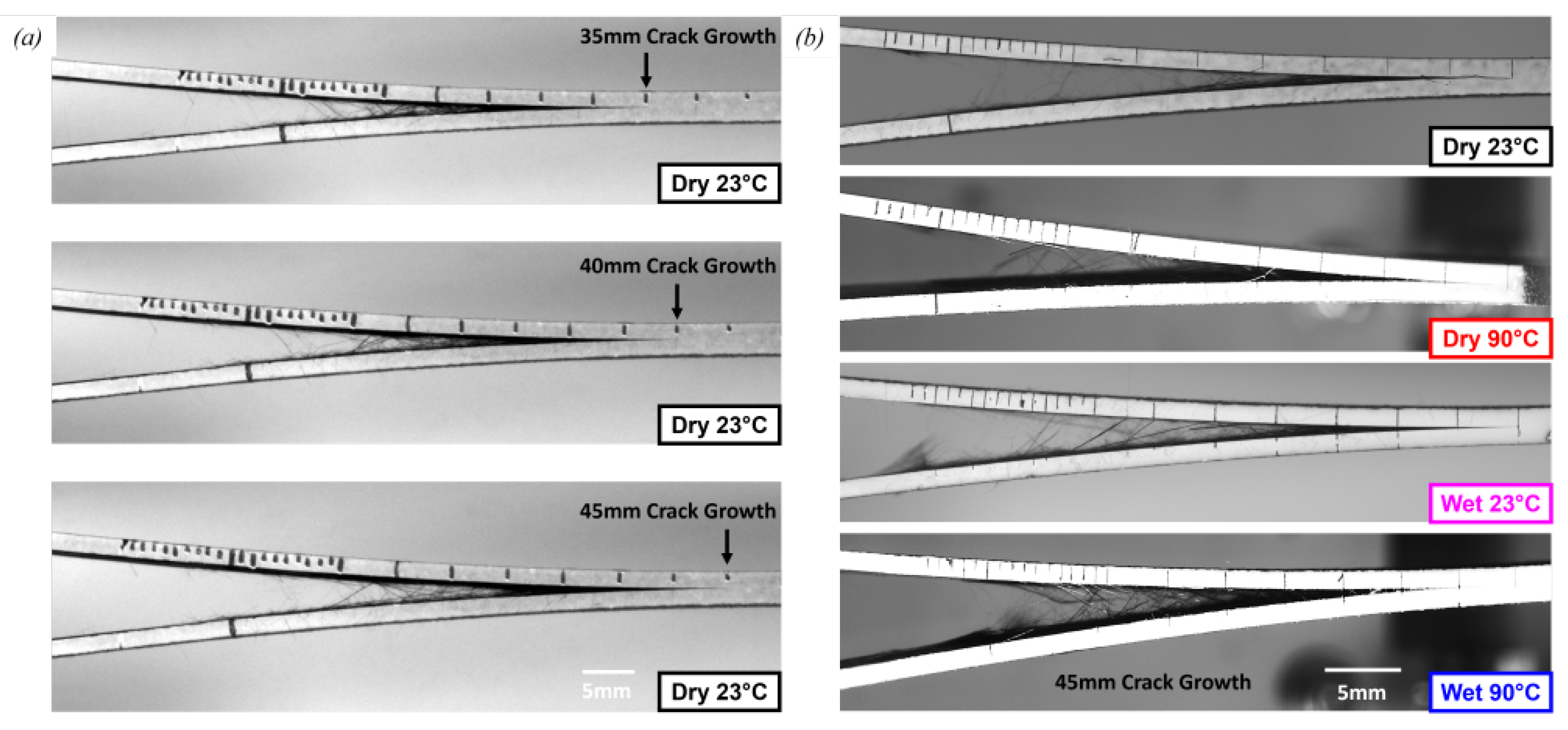 Polymers 17 01503 g011