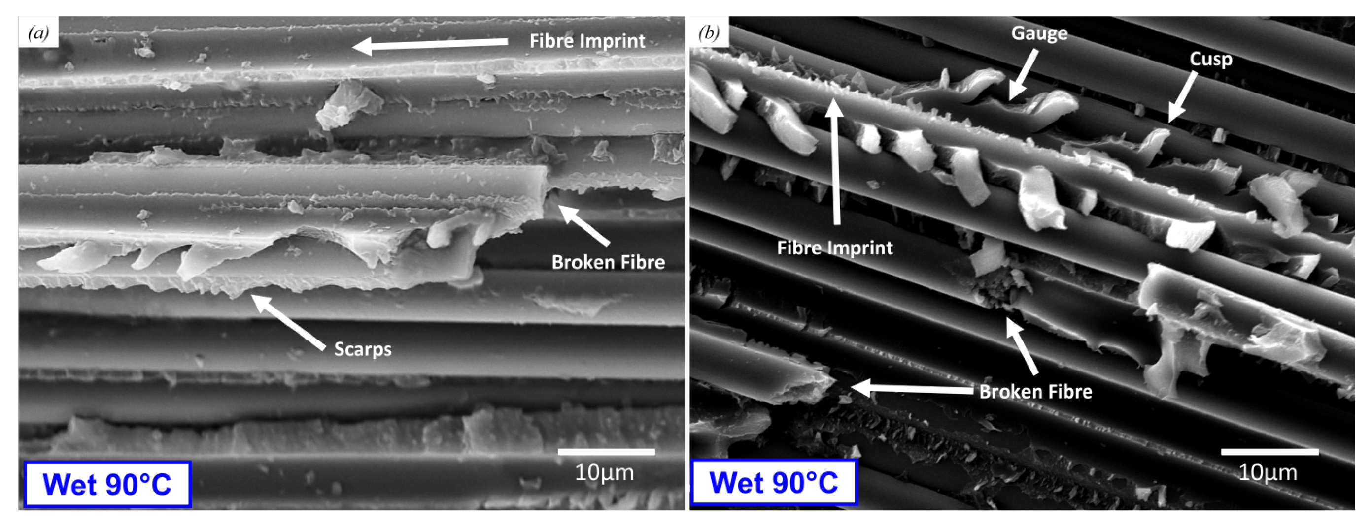 Polymers 17 01503 g015
