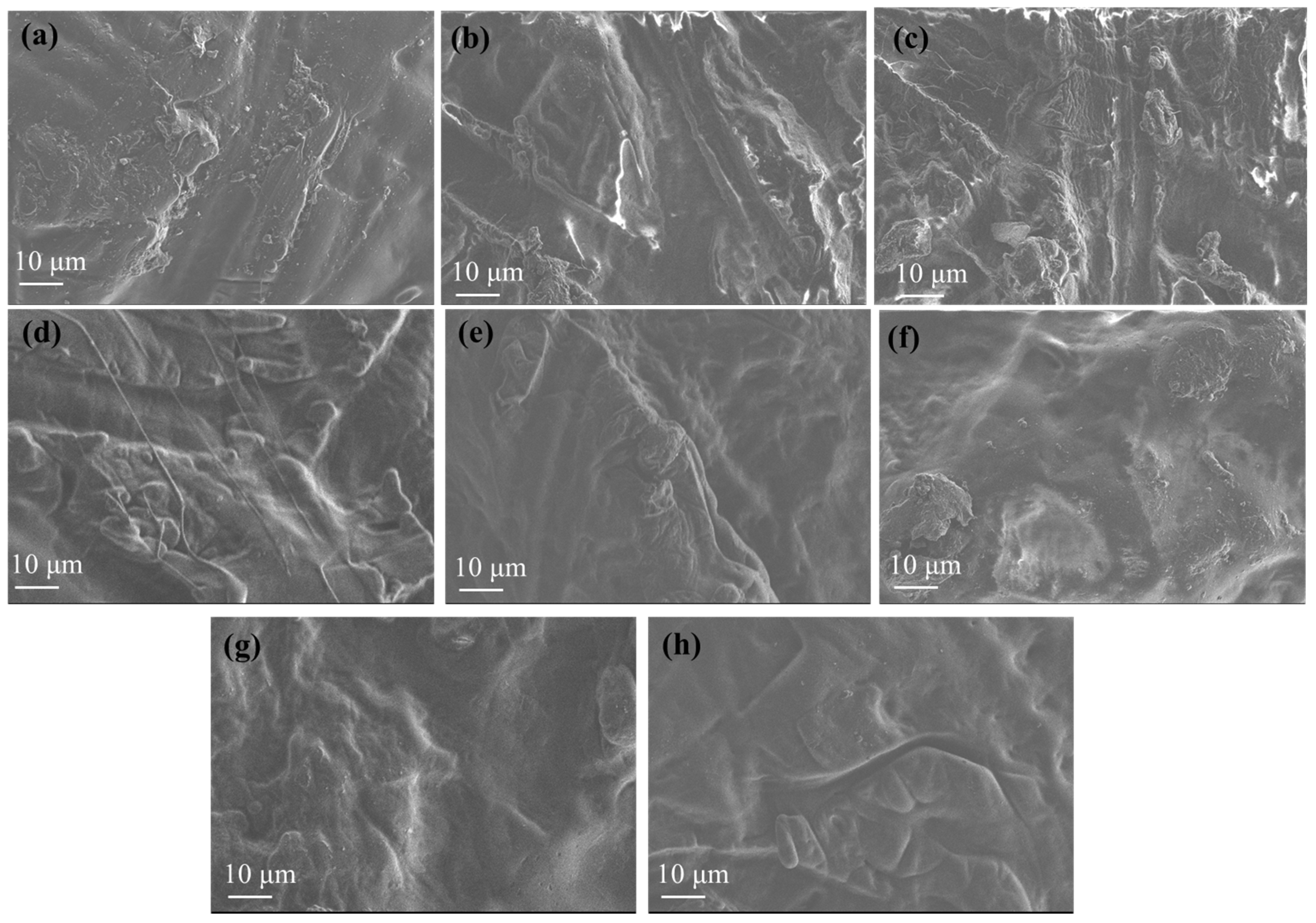 Polymers 17 01518 g008
