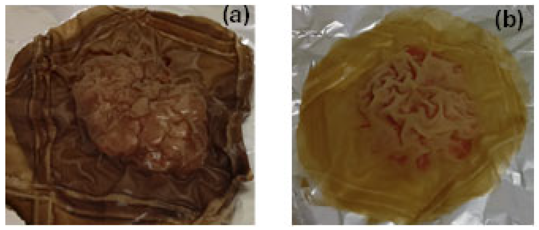 Polymers 17 01518 g012
