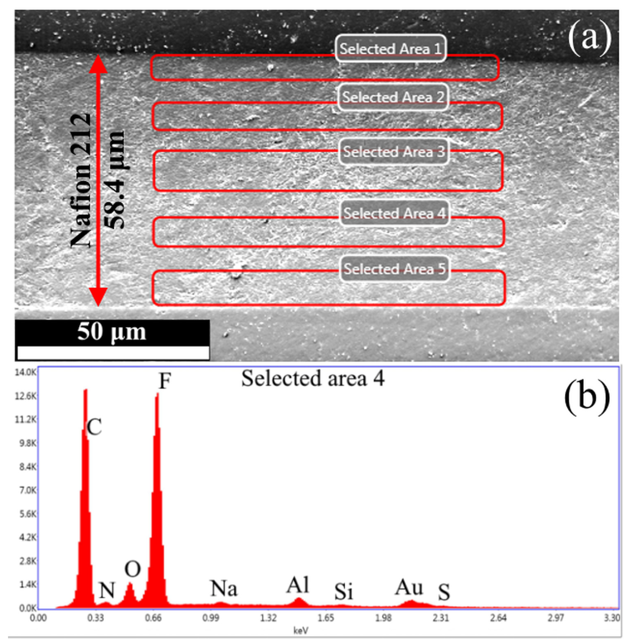 Polymers 17 01542 g006 Polymers 17 01542 g006