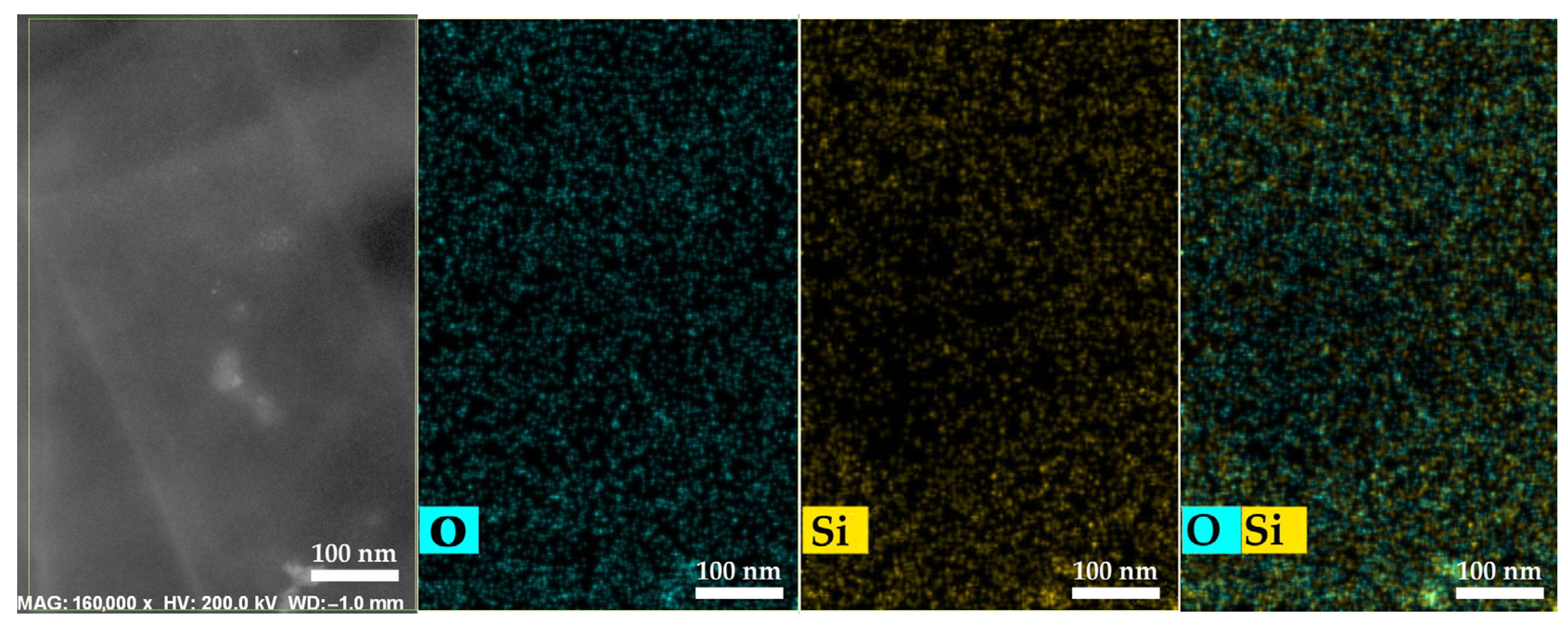 Polymers 17 01542 g008 Polymers 17 01542 g008