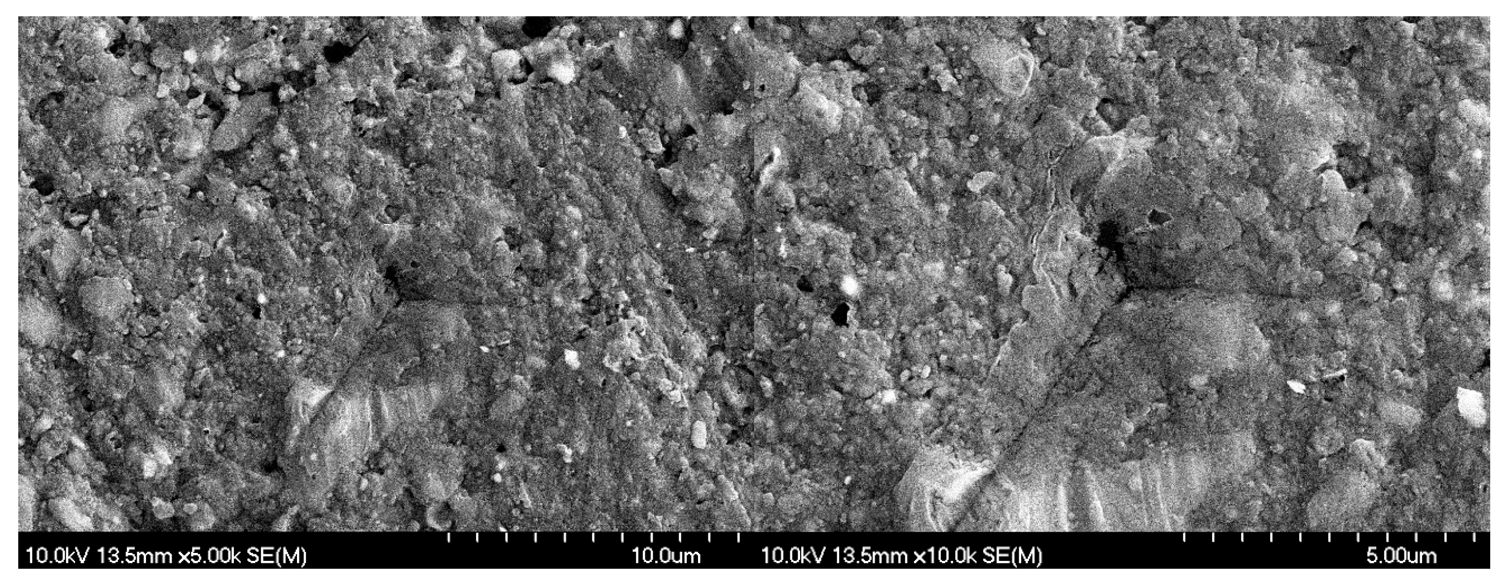 Polymers 17 01553 g010b