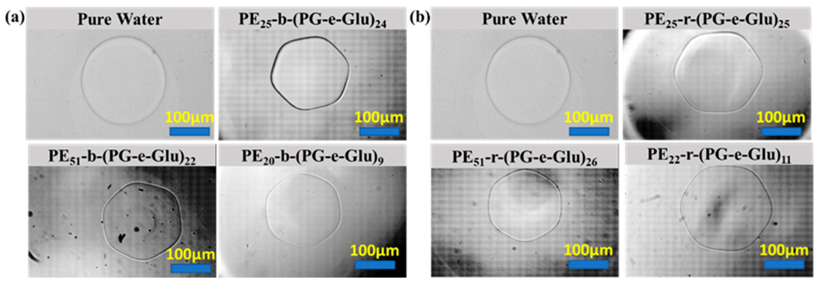 Polymers 17 01600 g003