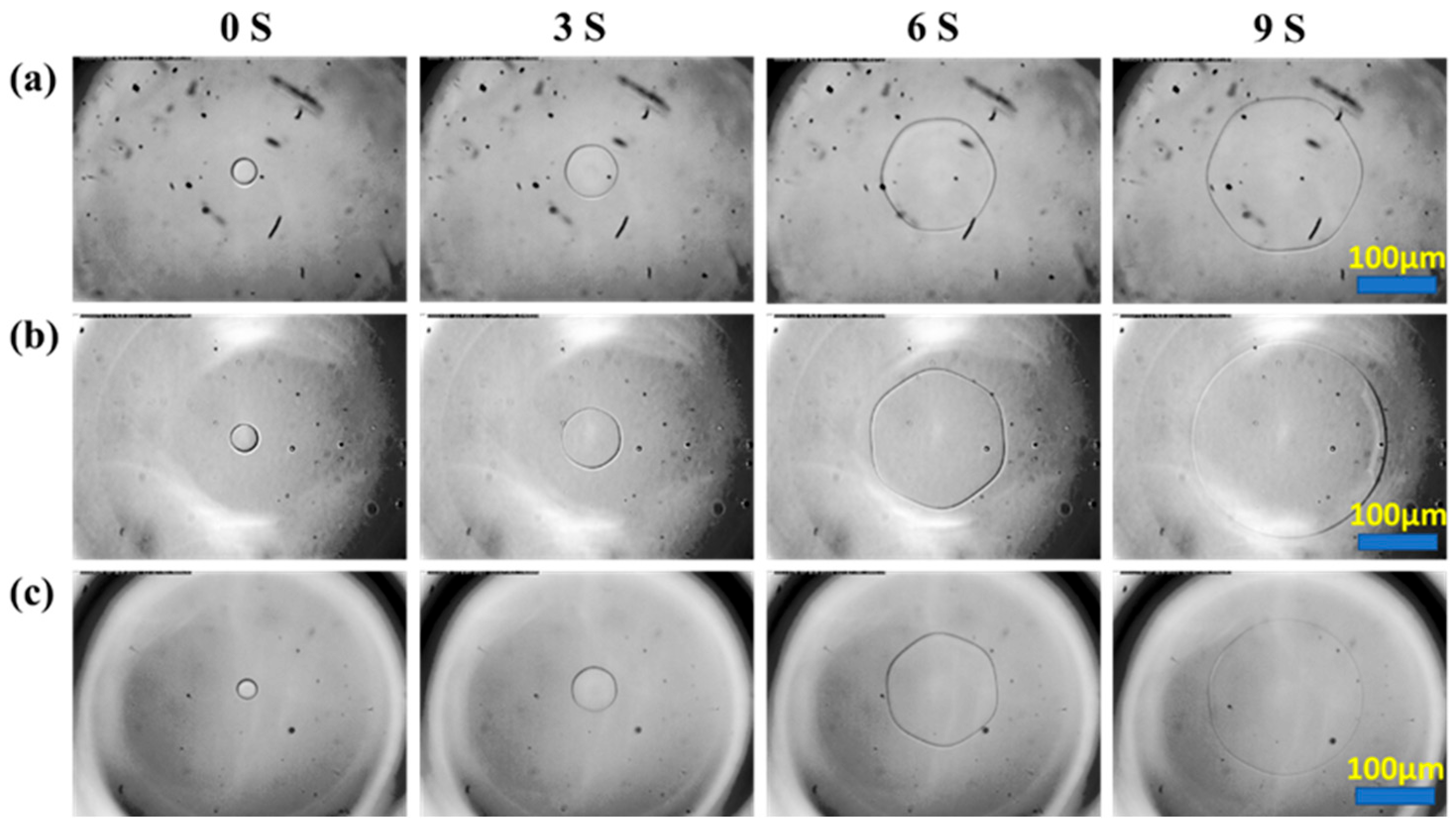 Polymers 17 01600 g004