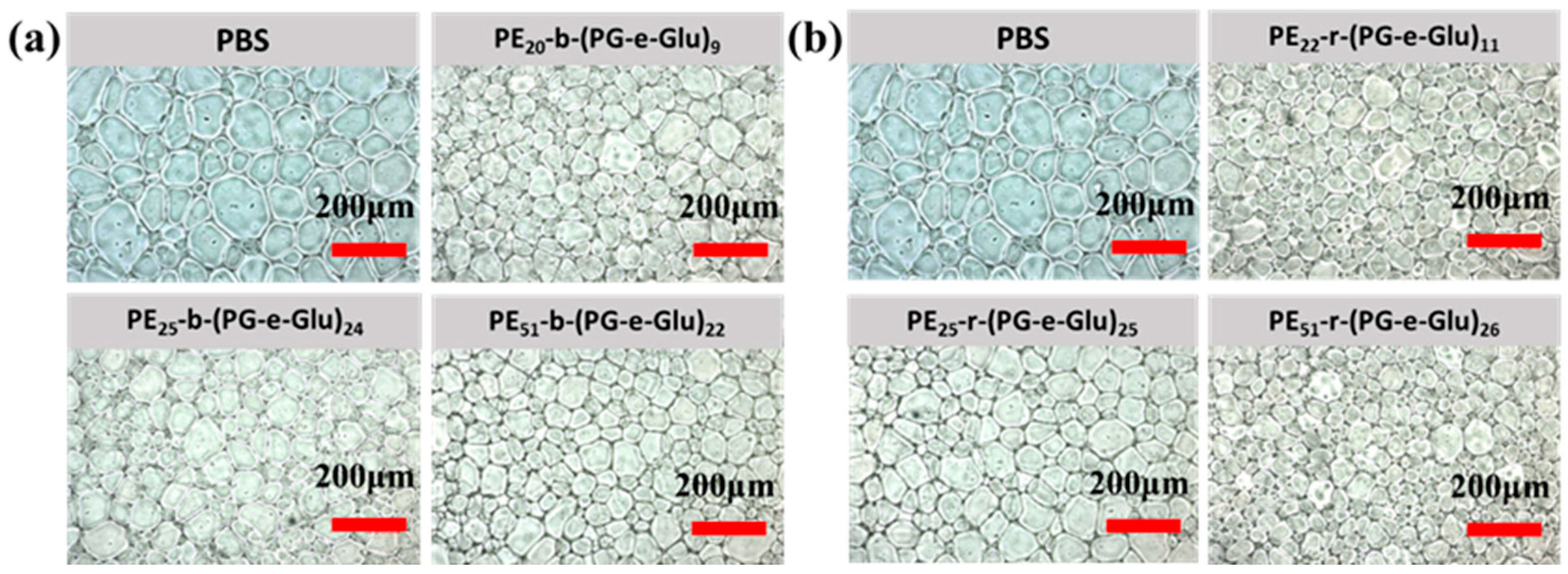 Polymers 17 01600 g008