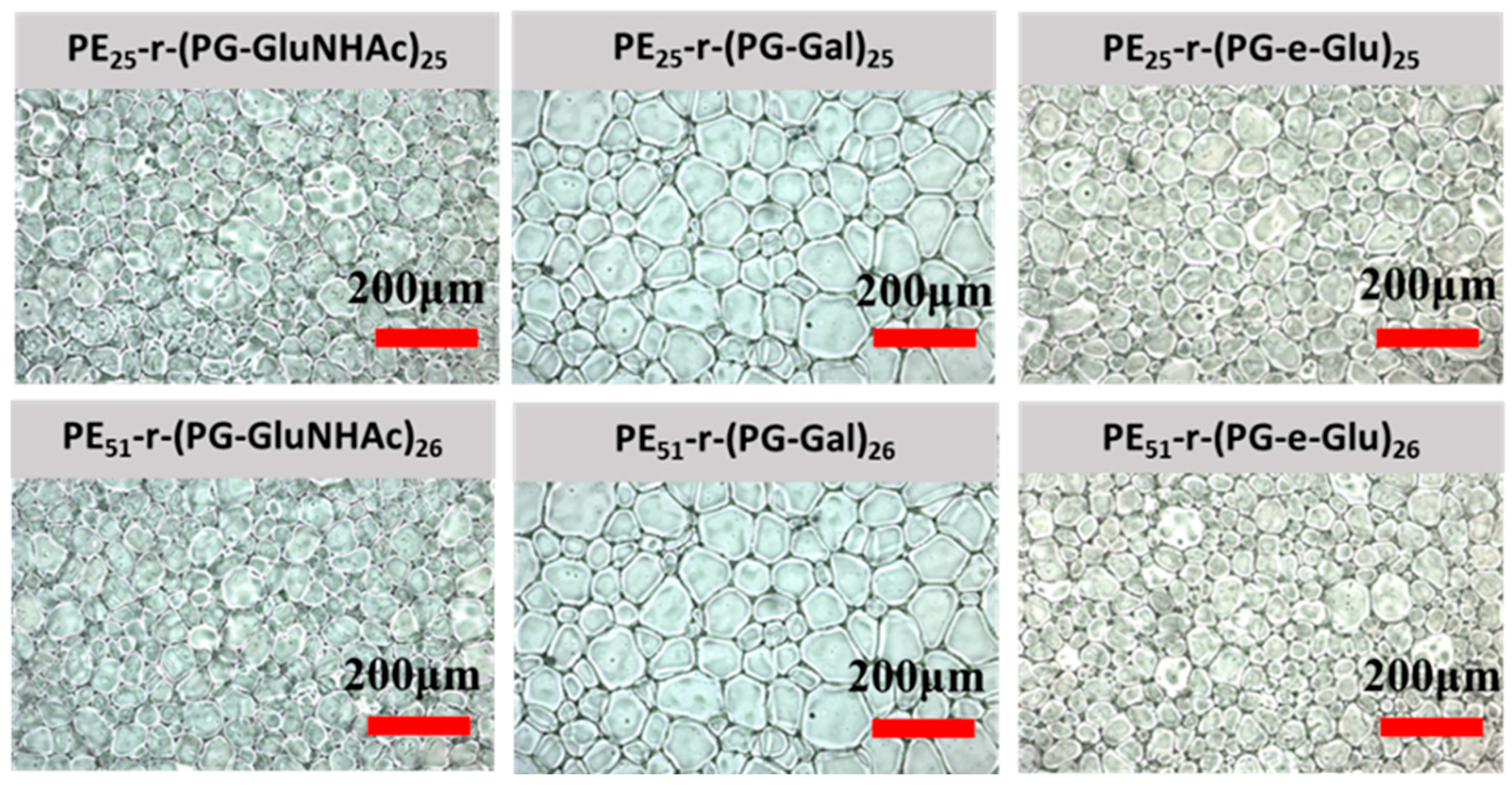 Polymers 17 01600 g010
