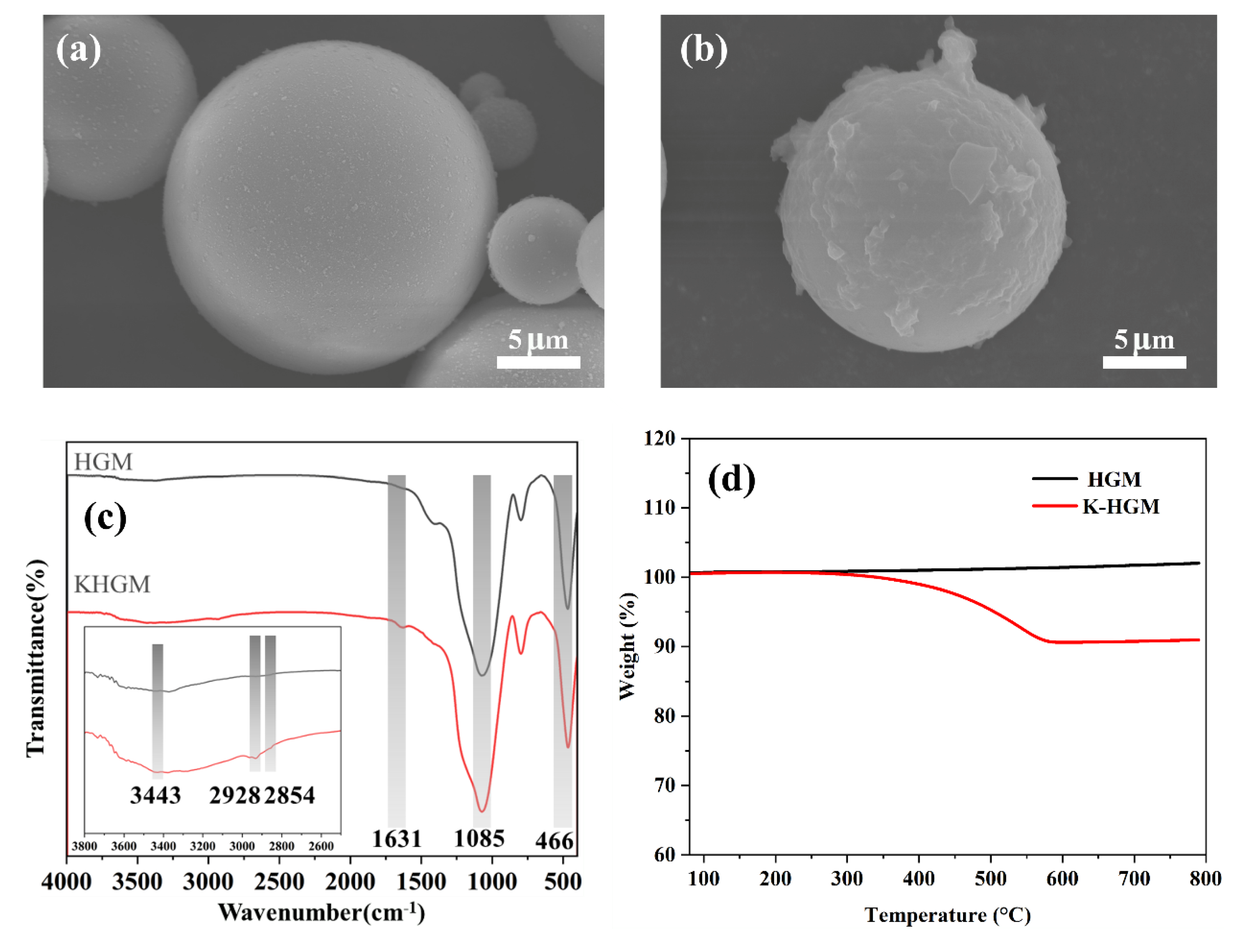 Polymers 17 01623 g002 Polymers 17 01623 g002