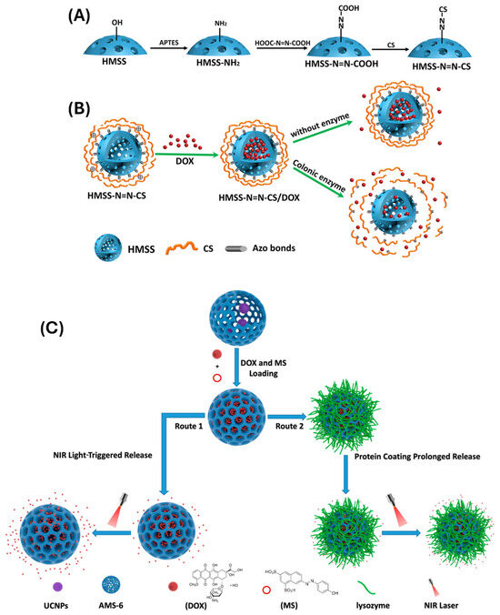 Polymers 17 01640 g005