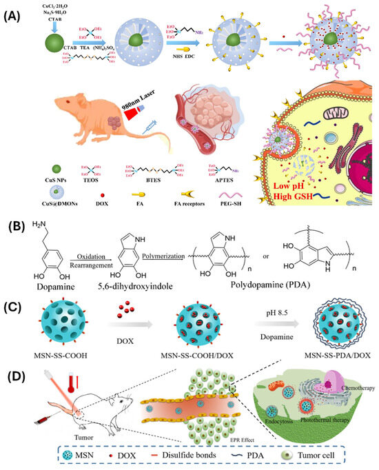 Polymers 17 01640 g008