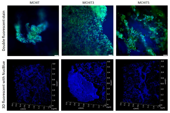 Polymers 17 01651 g0a1