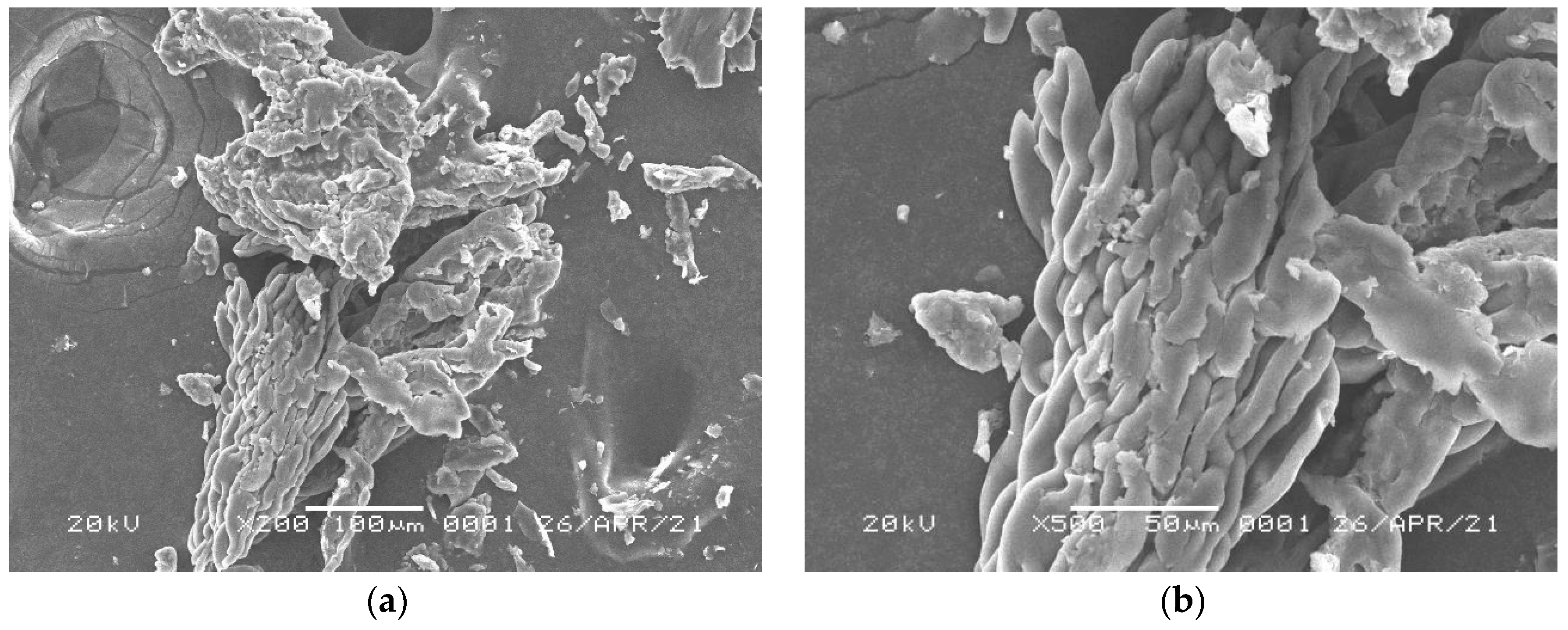 Polymers 17 01653 g004a