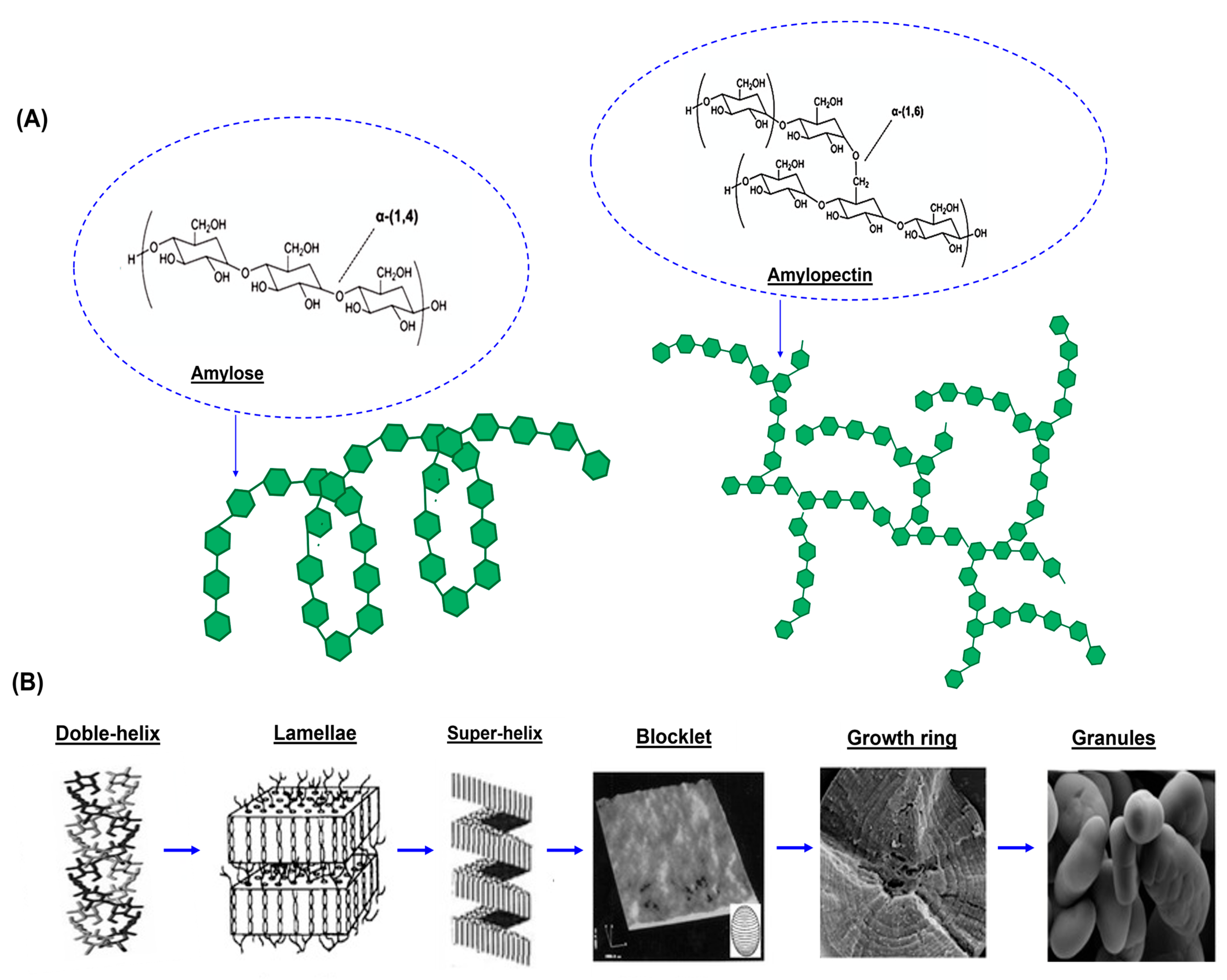 Polymers 17 01663 g002