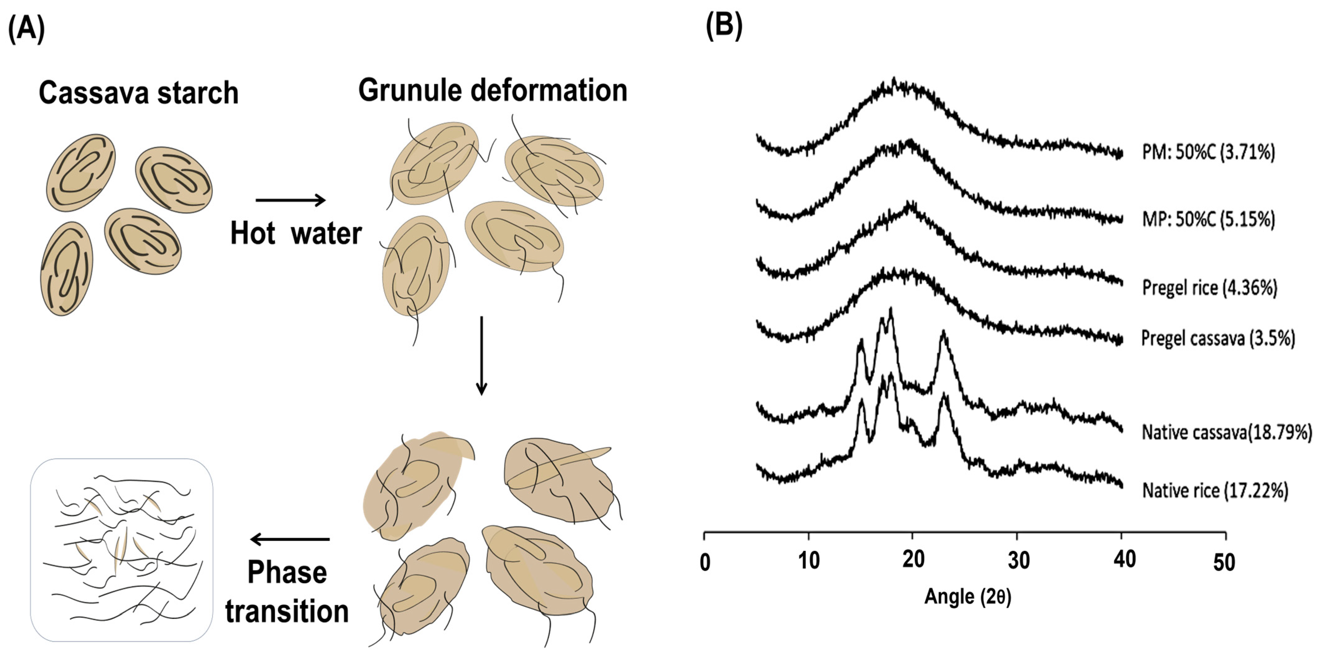 Polymers 17 01663 g004
