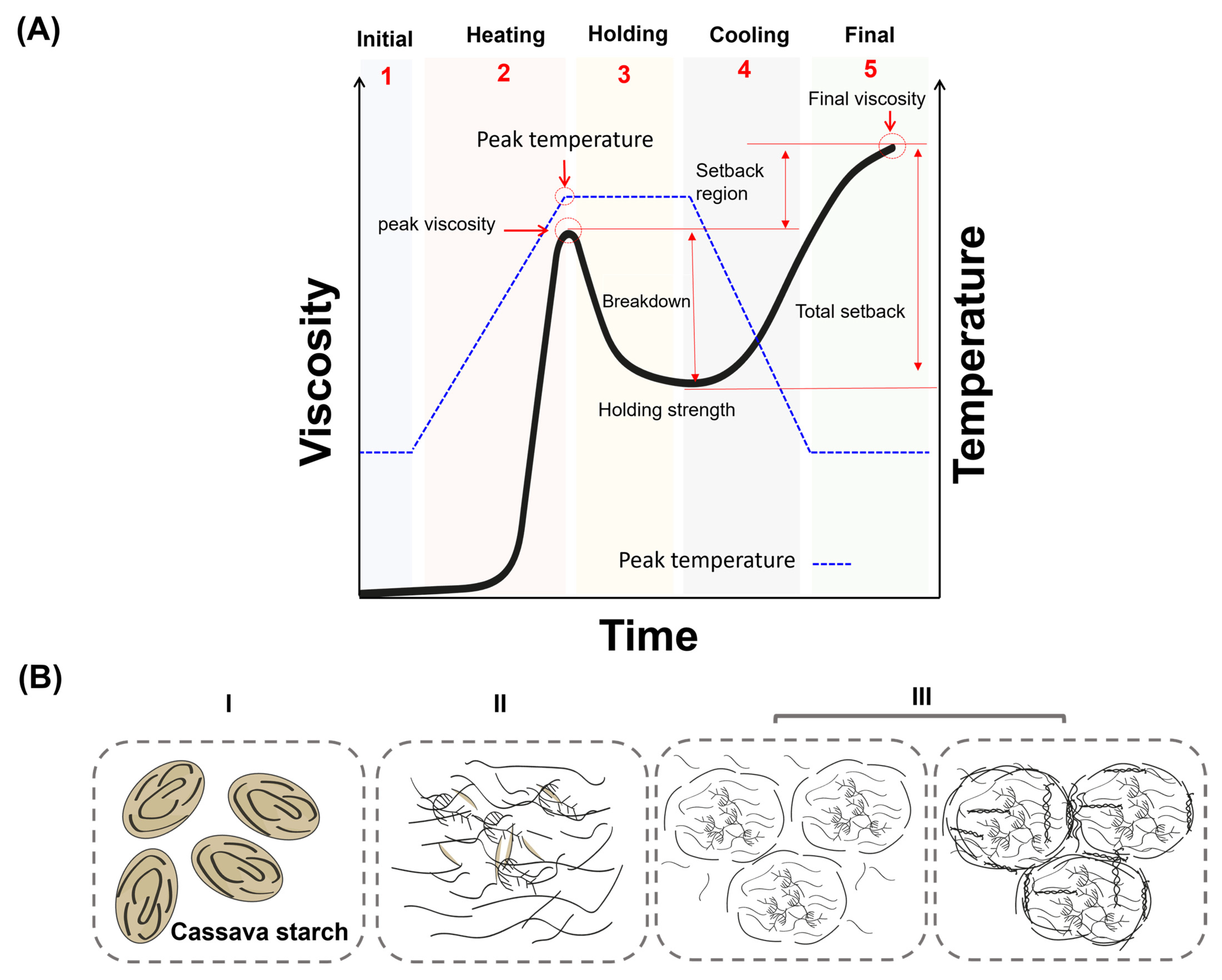 Polymers 17 01663 g005
