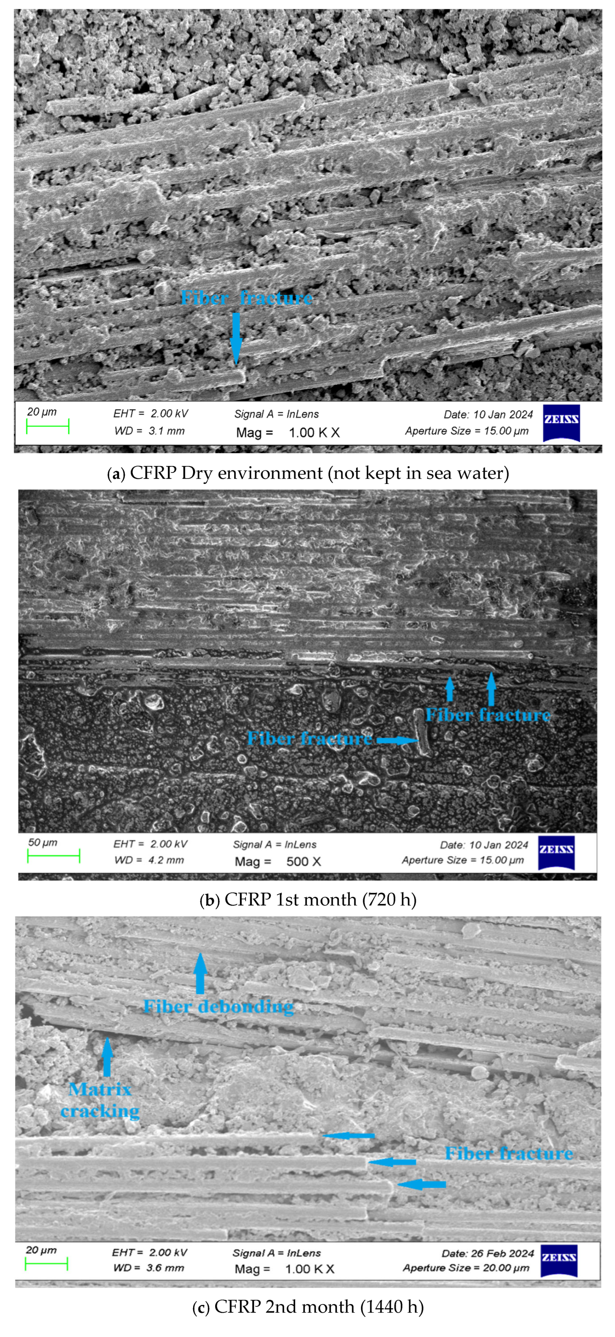 Polymers 17 01672 g024a