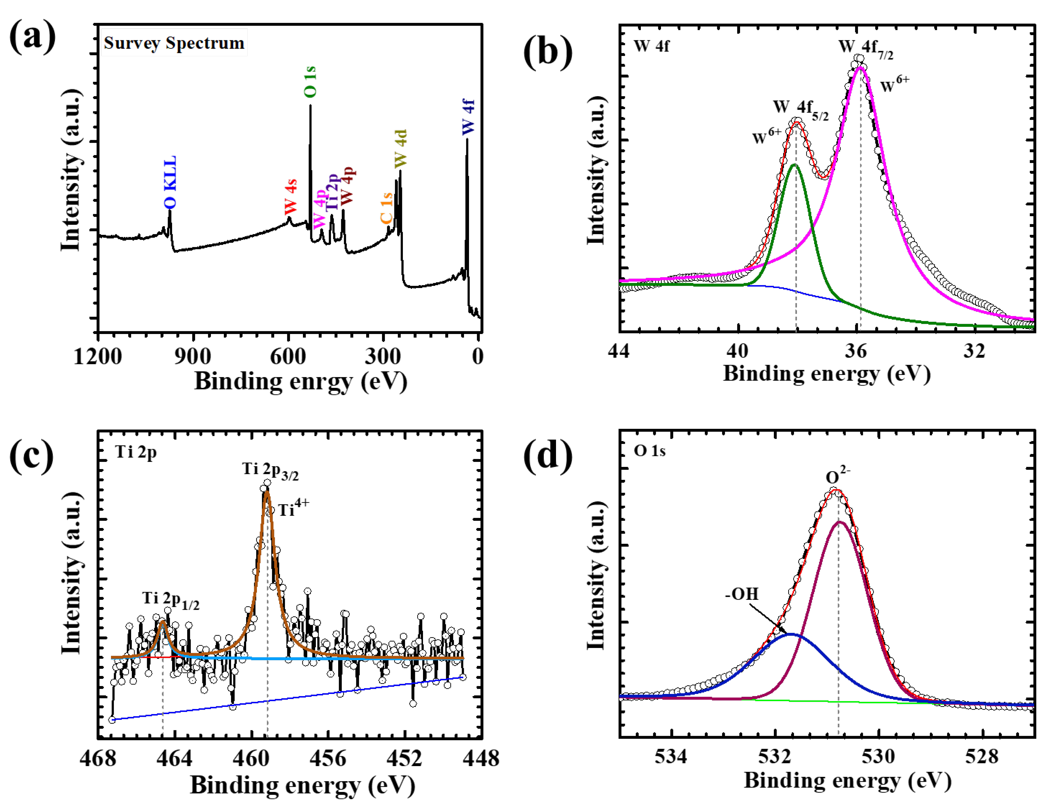Polymers 17 01683 g003