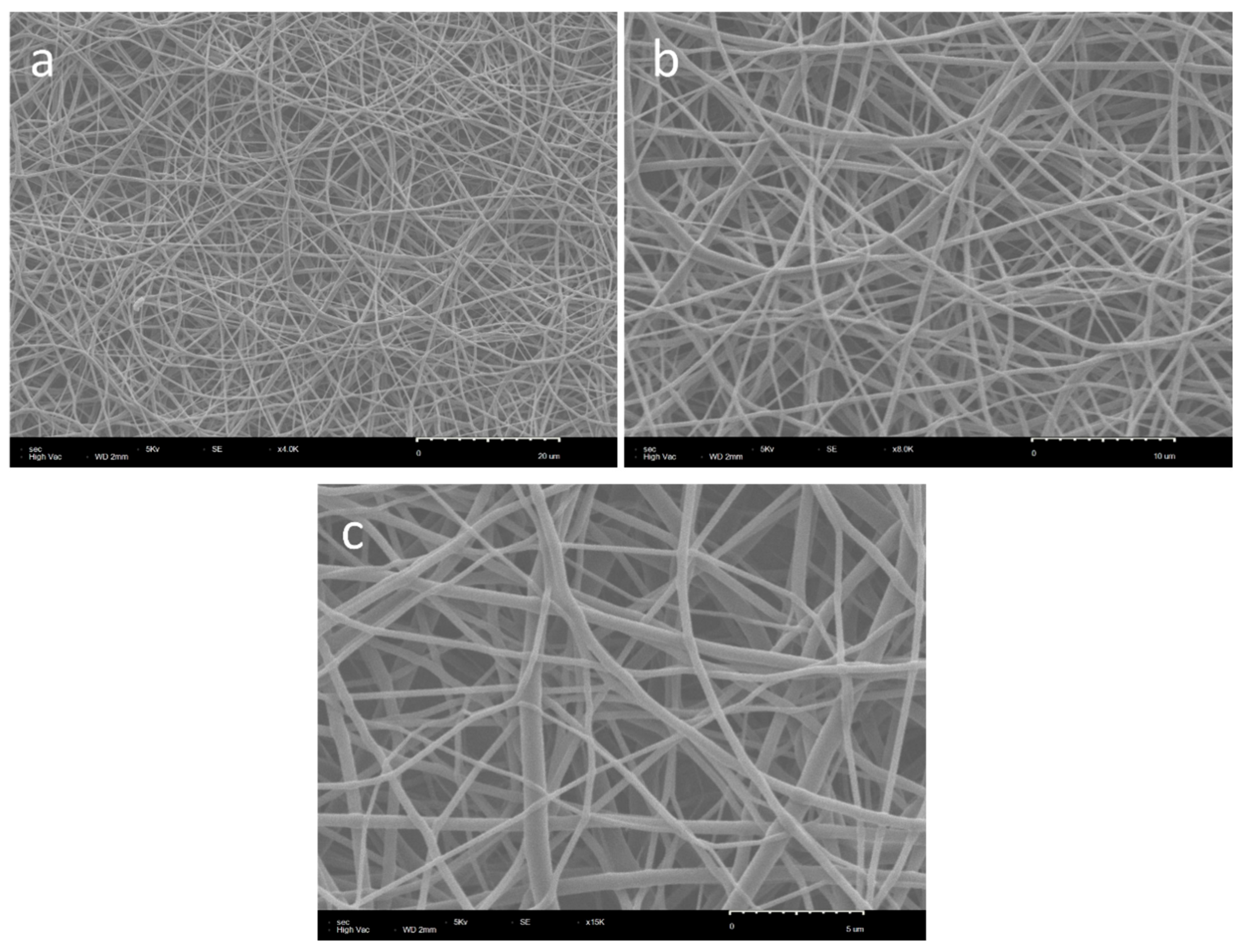 Polymers 17 01685 g005