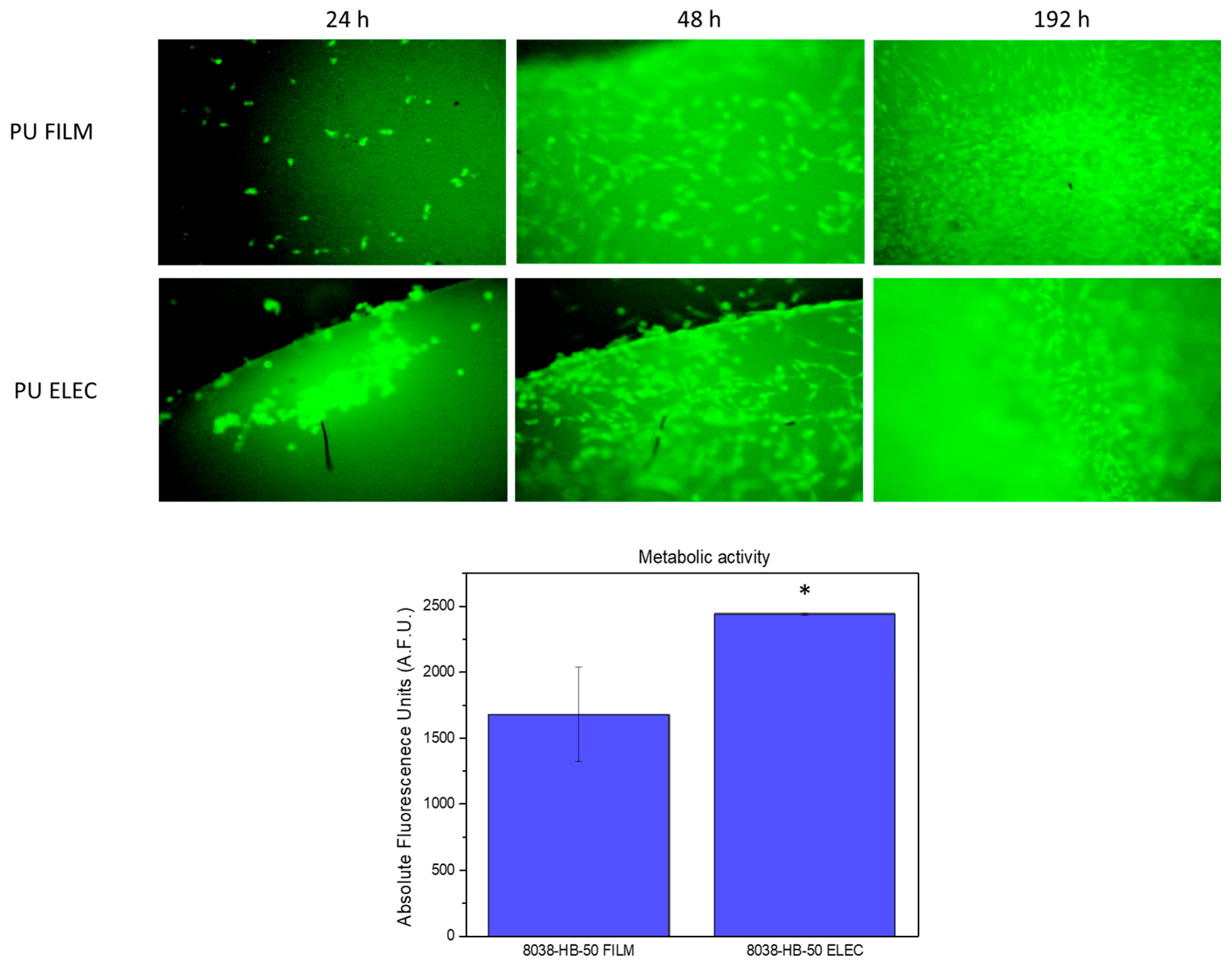 Polymers 17 01685 g006