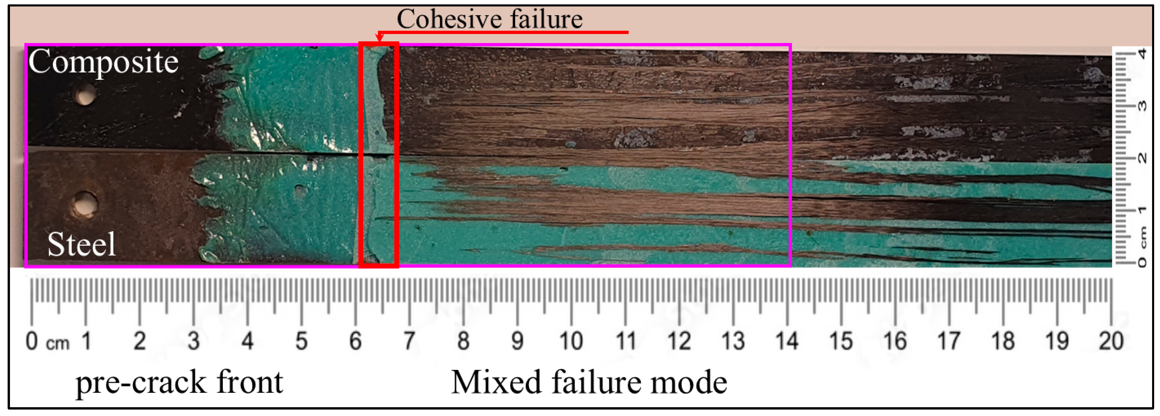 Polymers 17 01689 g018