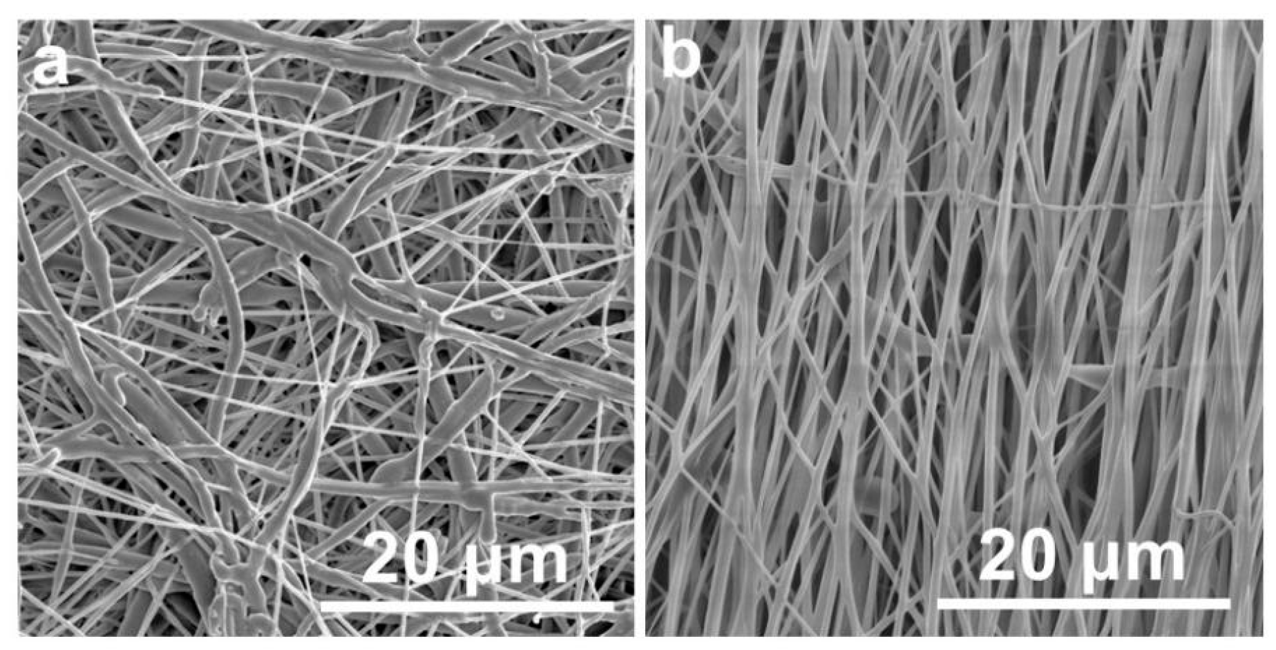 Polymers 17 01705 g001