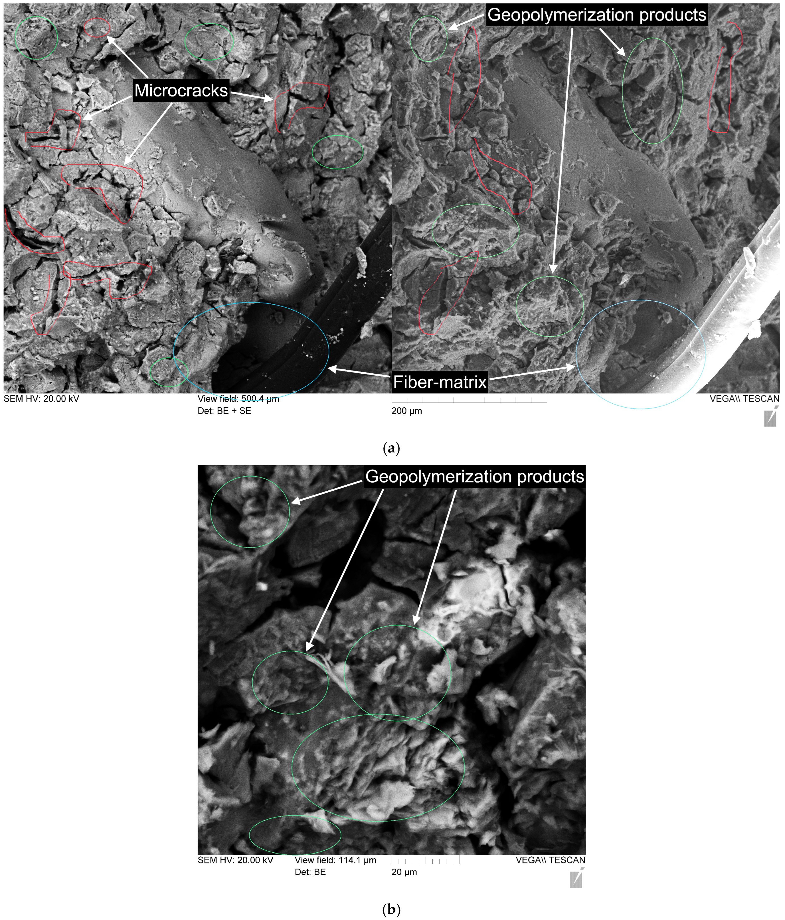 Polymers 17 01710 g012