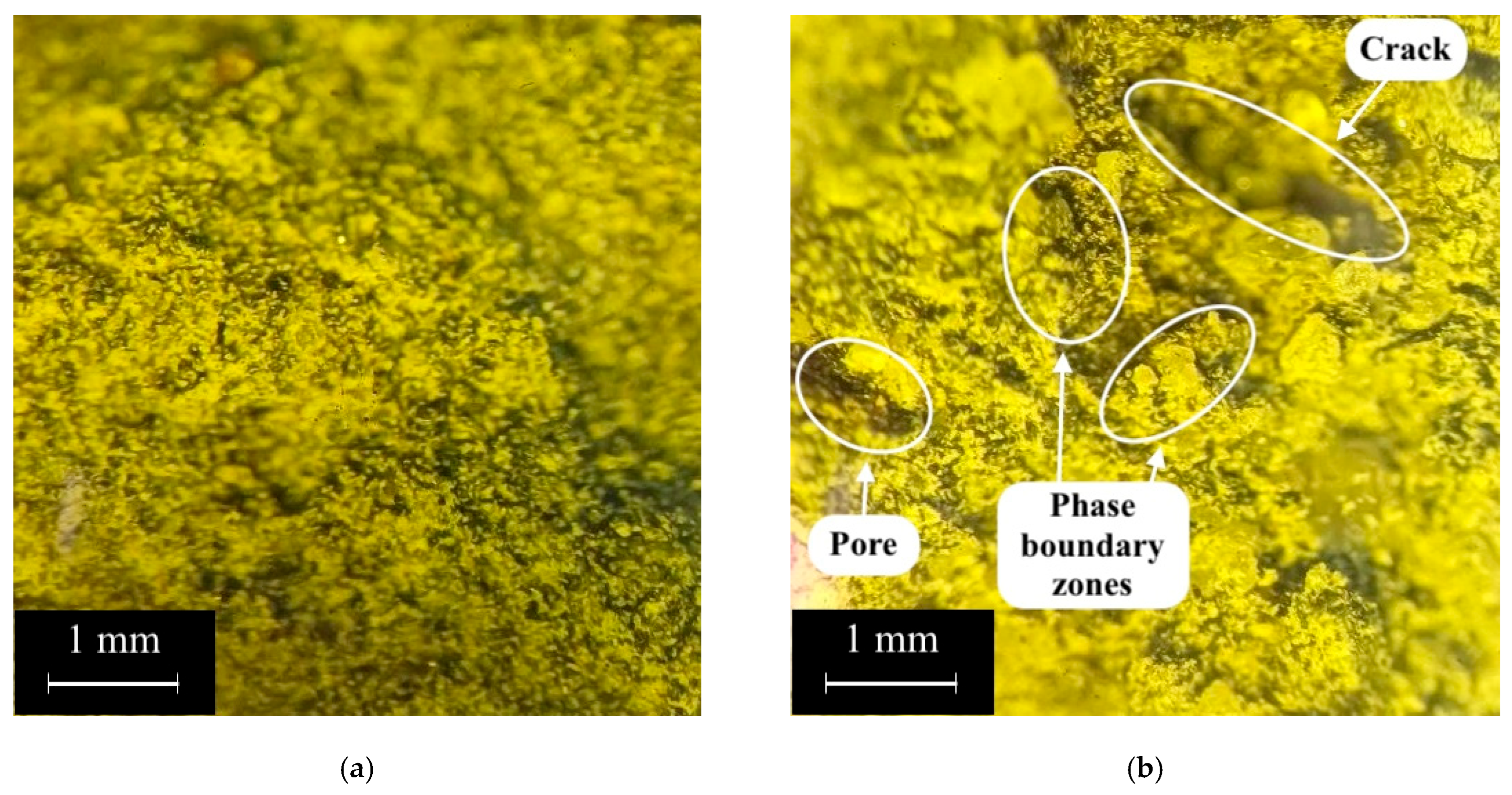 Polymers 17 01710 g014