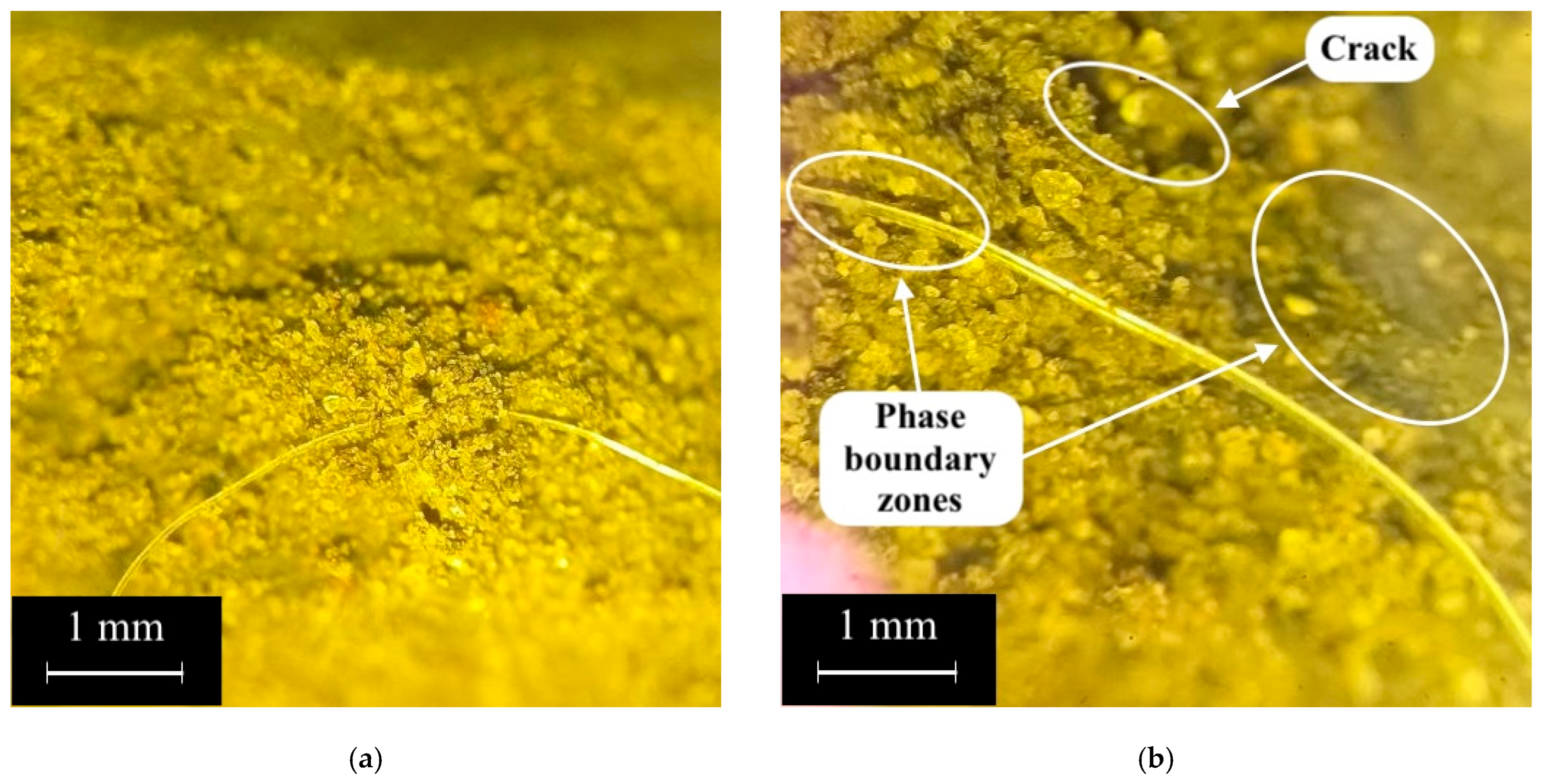 Polymers 17 01710 g015