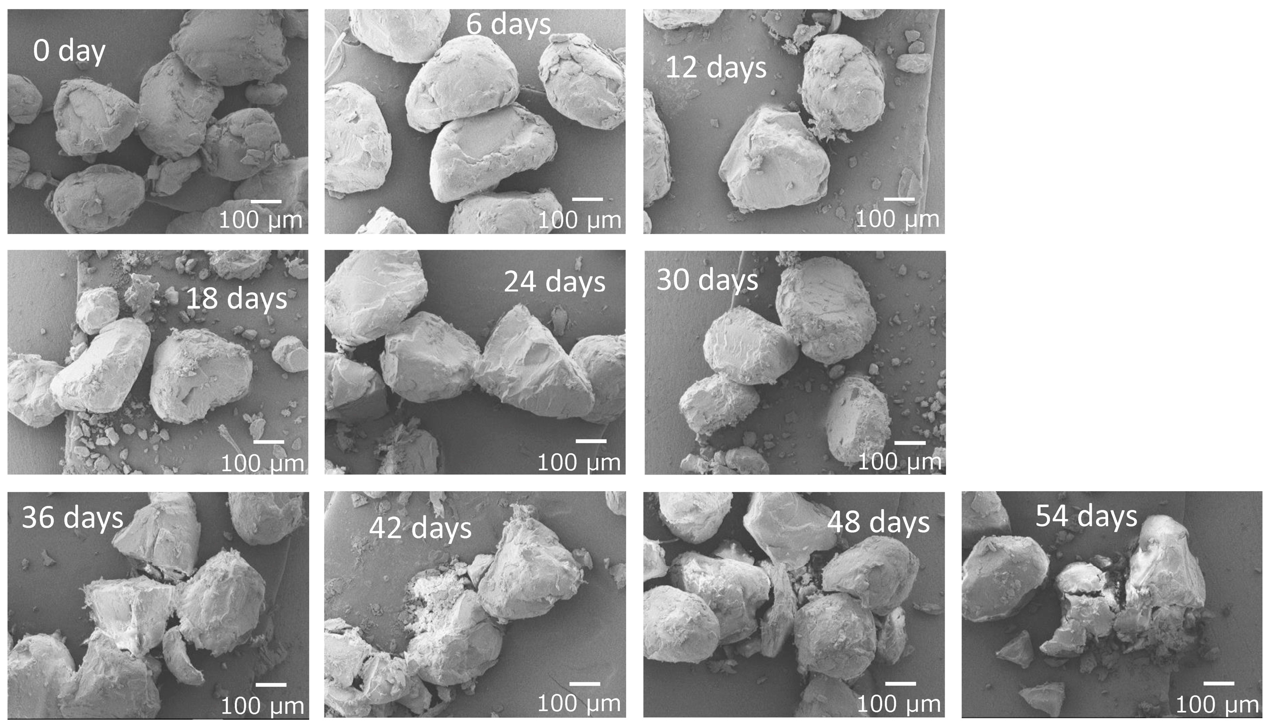 Polymers 17 01715 g007