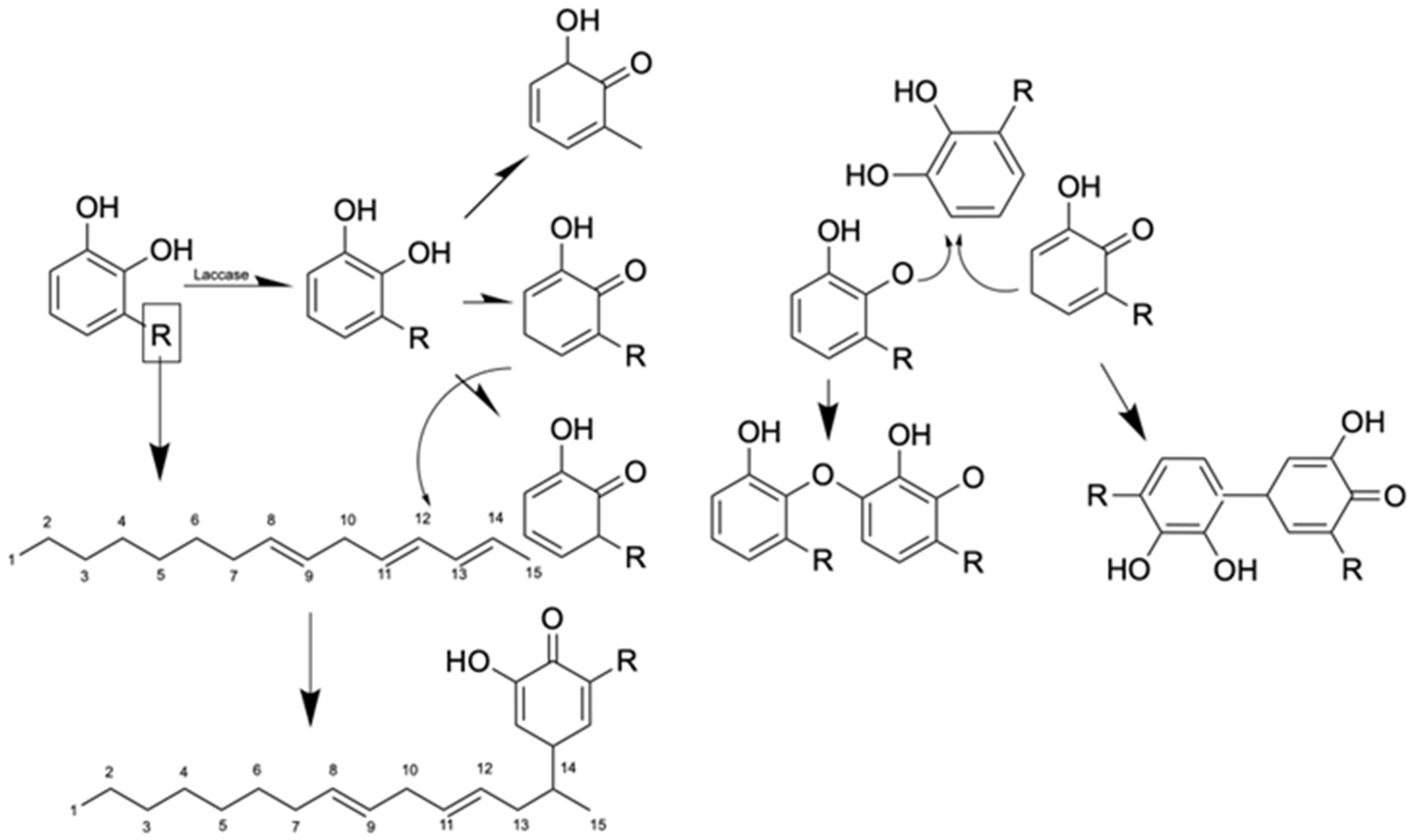 Polymers 17 01722 g002