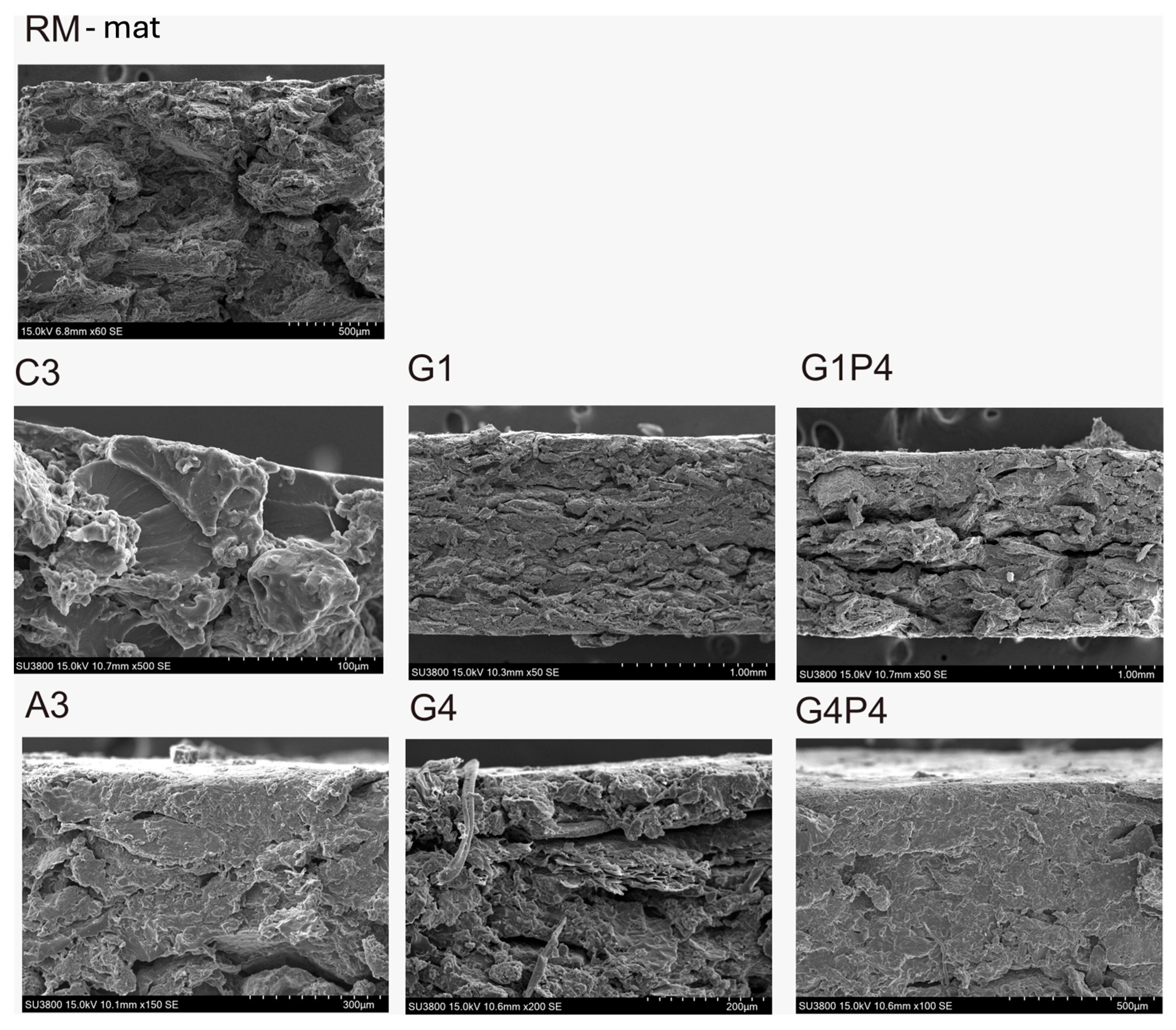 Polymers 17 01740 g007