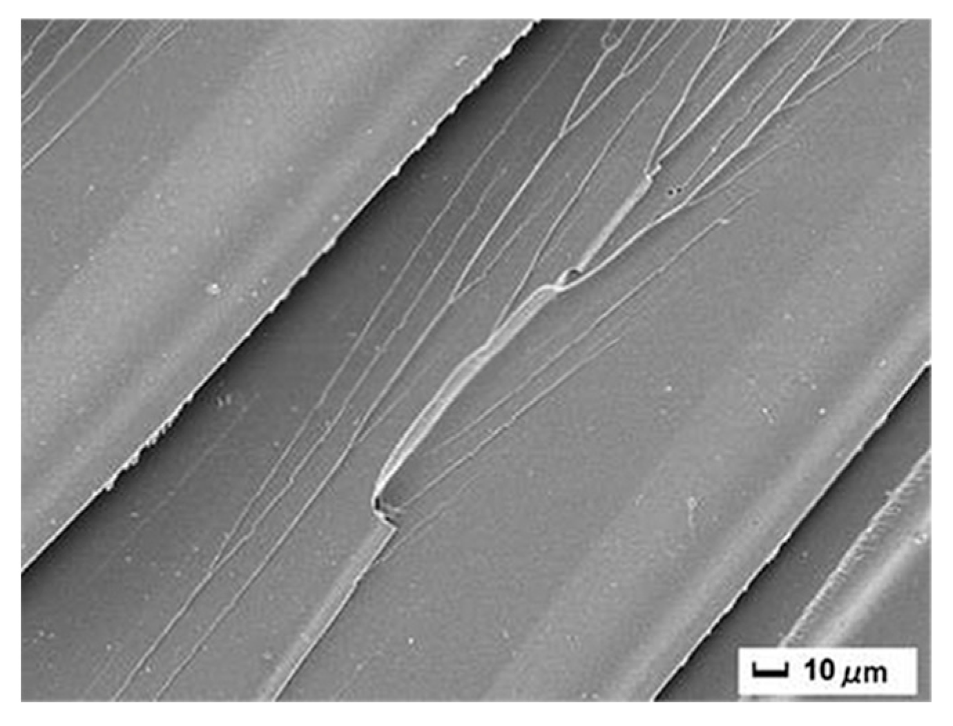 Polymers 17 01747 g008