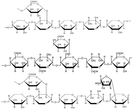 Polymers 17 01750 i005