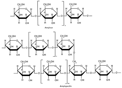 Polymers 17 01750 i006