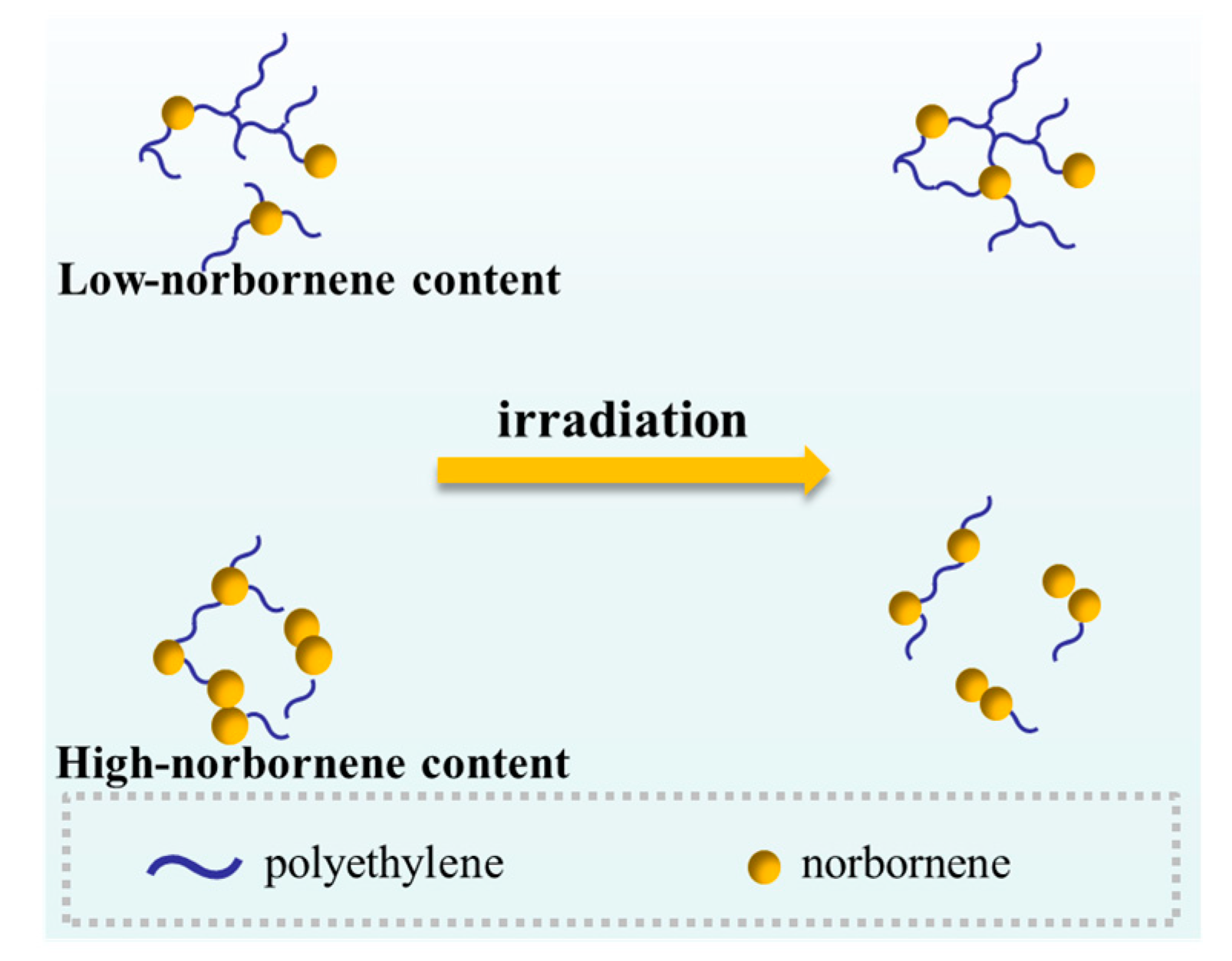 Polymers 17 01751 g007