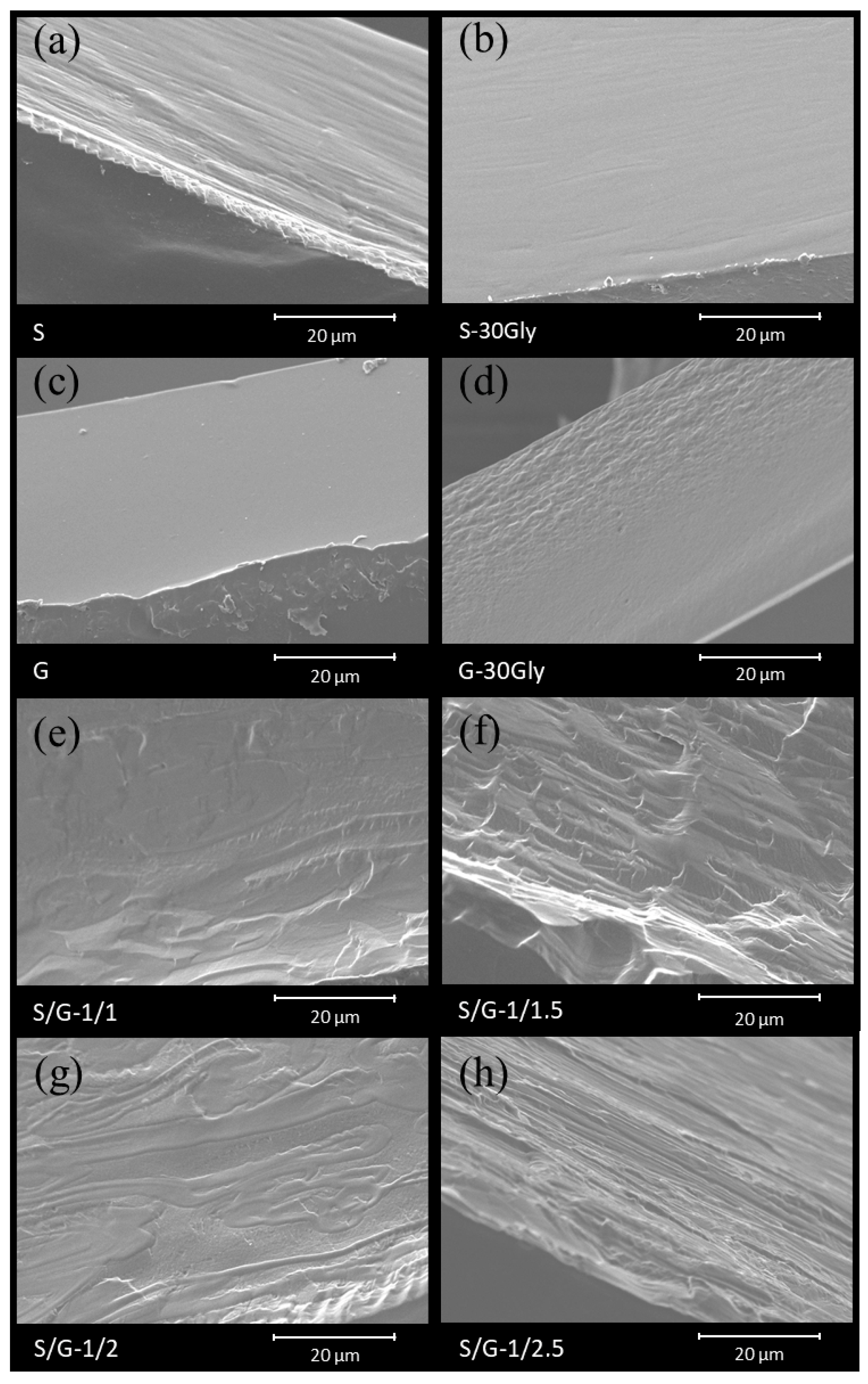 Polymers 17 01763 g002 Polymers 17 01763 g002