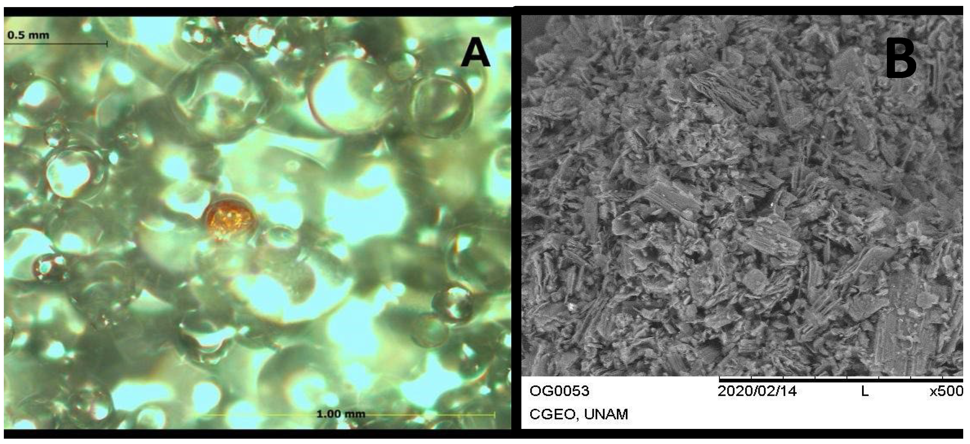 Polymers 17 01768 g003 Polymers 17 01768 g003