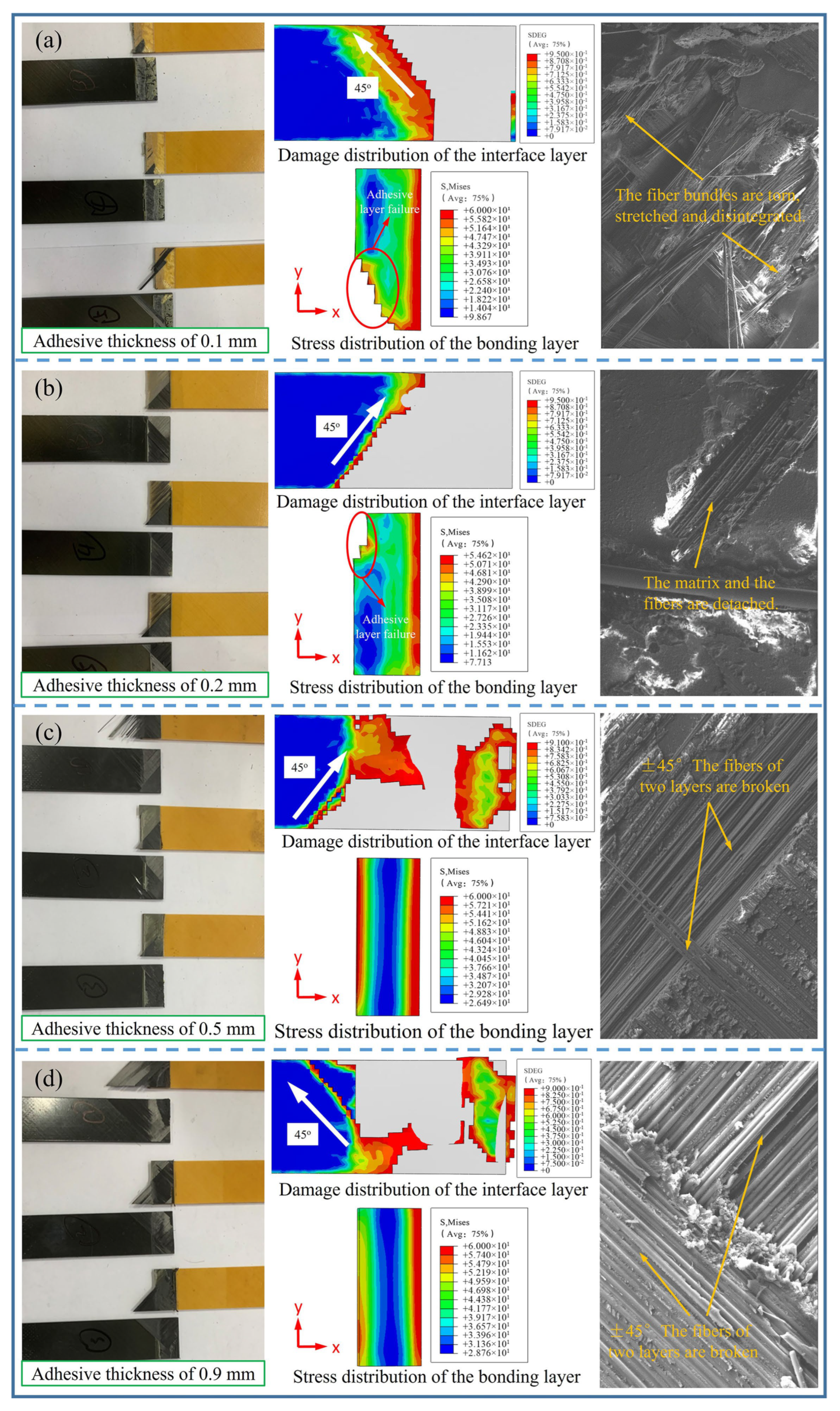 Polymers 17 01769 g005