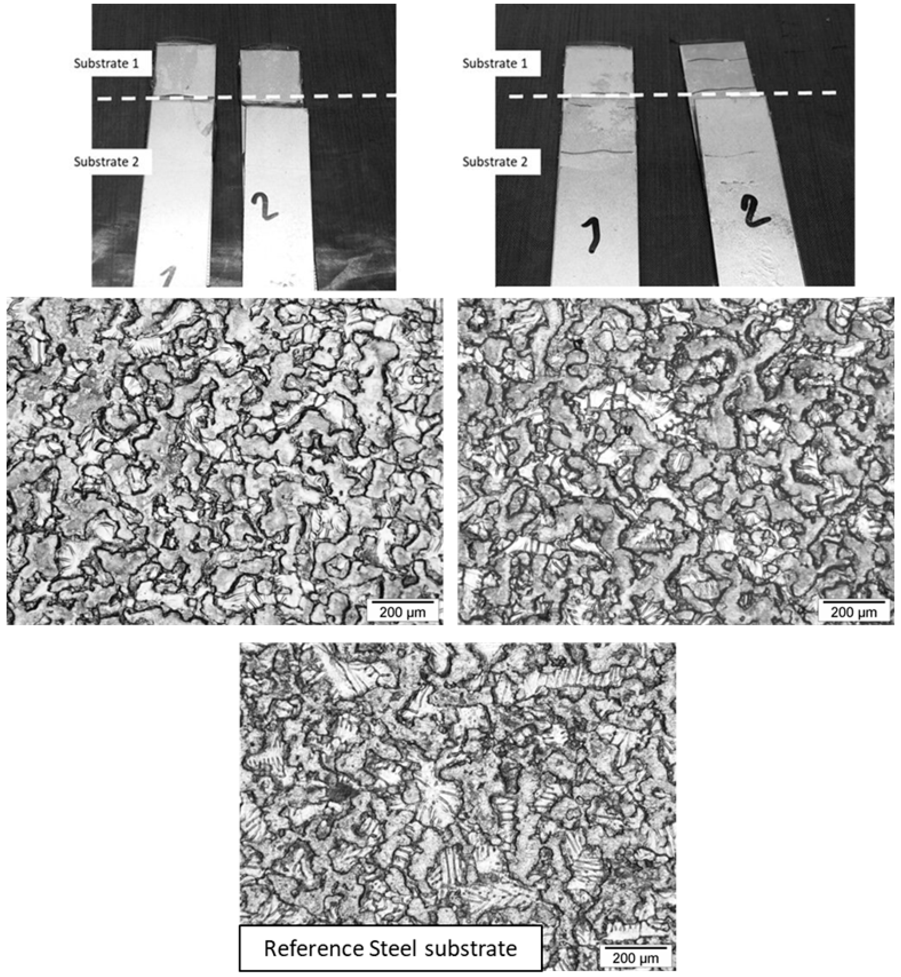 Polymers 17 01796 g012