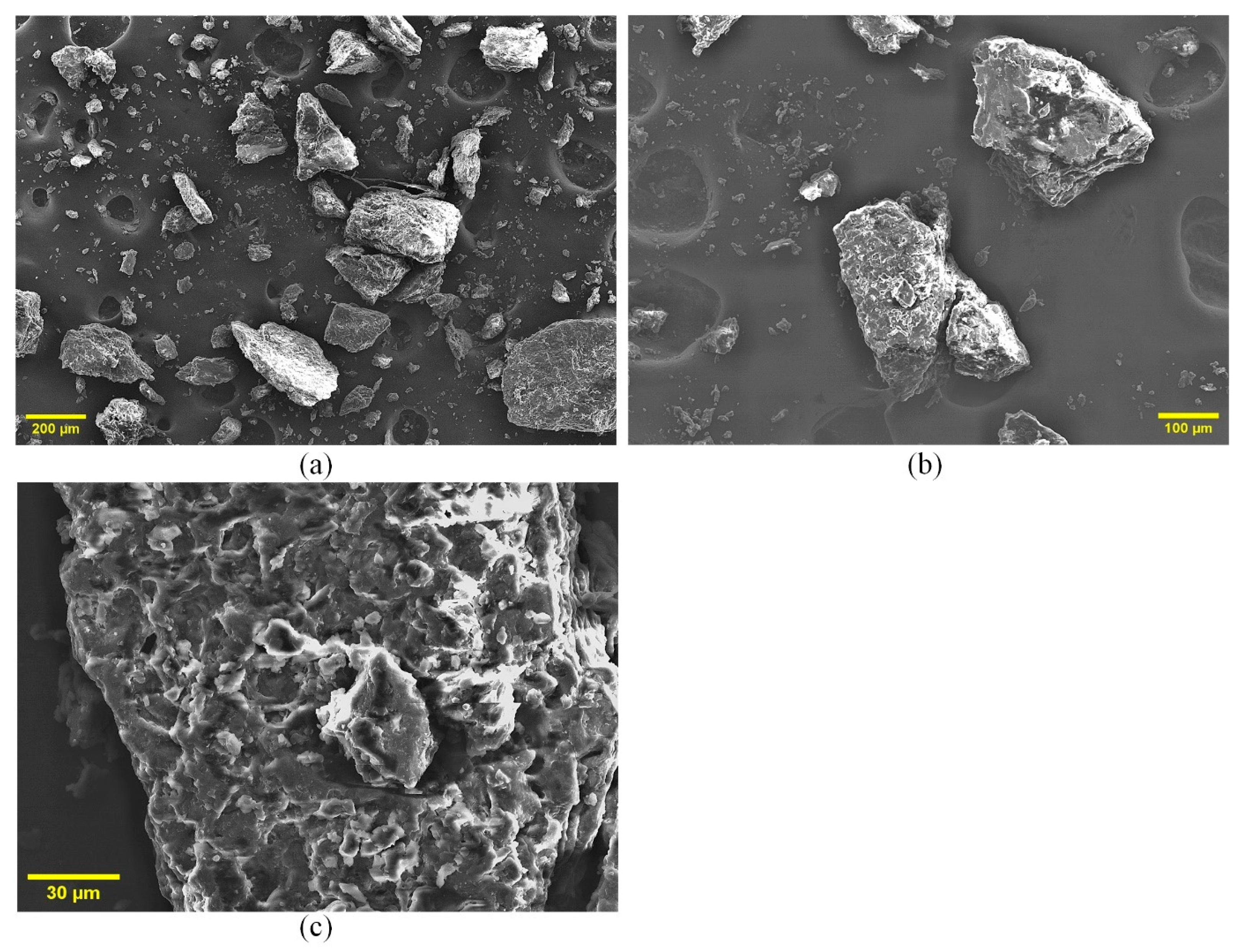 Polymers 17 01799 g003