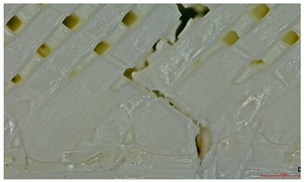 Polymers 17 01806 i015