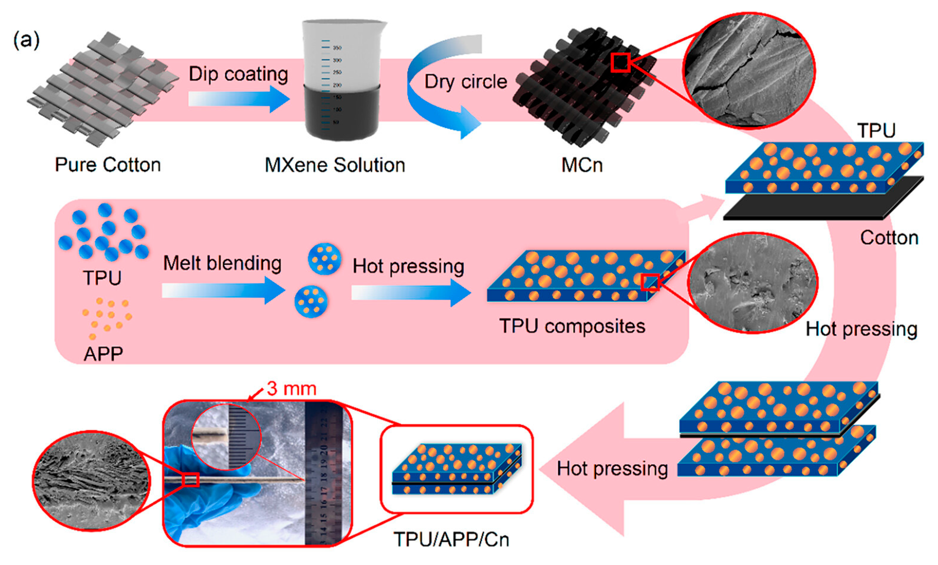 Polymers 17 01814 g021