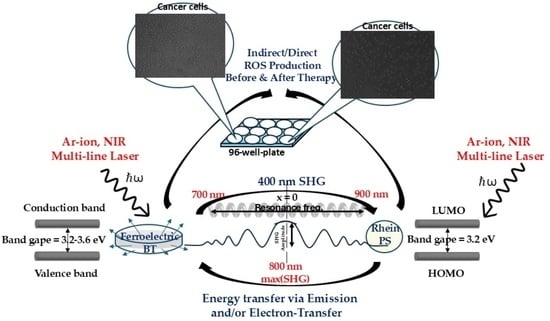 Near-Infrared and Sono-Enhanced Photodynamic Therapy of Prostate Cancer ...