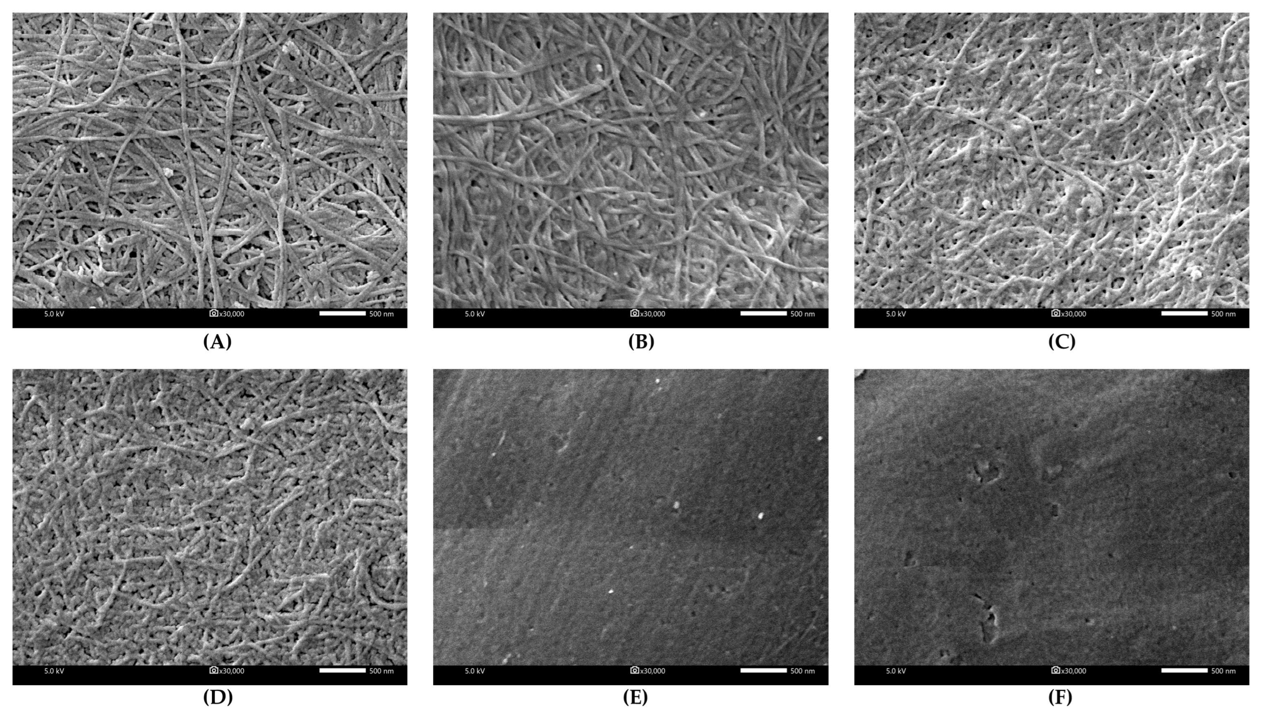 Polymers 17 01836 g003