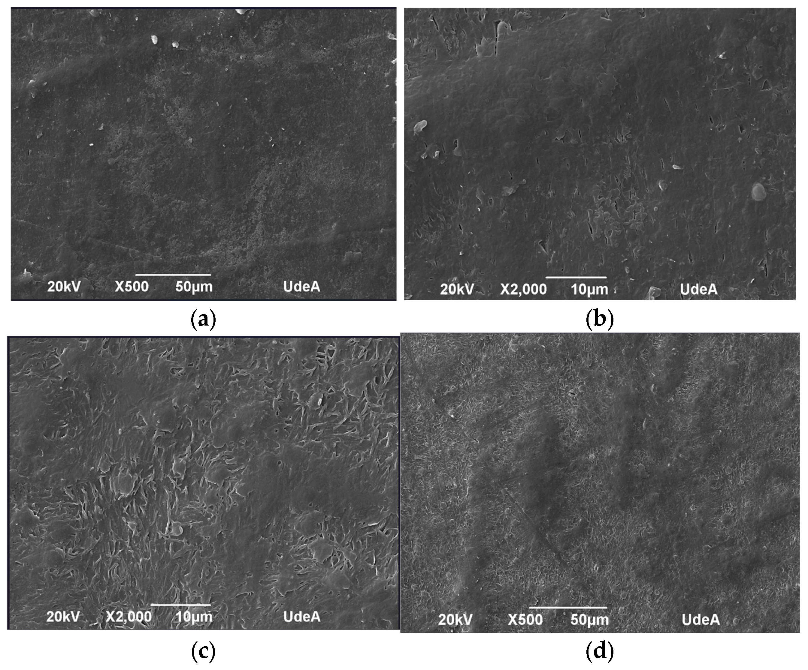 Polymers 17 01842 g010